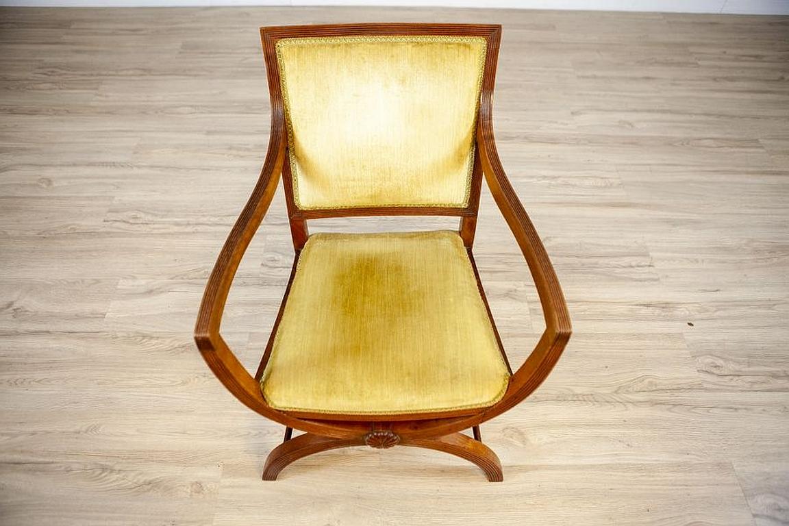 19th Century Beautiful Walnut Armchair from the, Early 20th Century For Sale