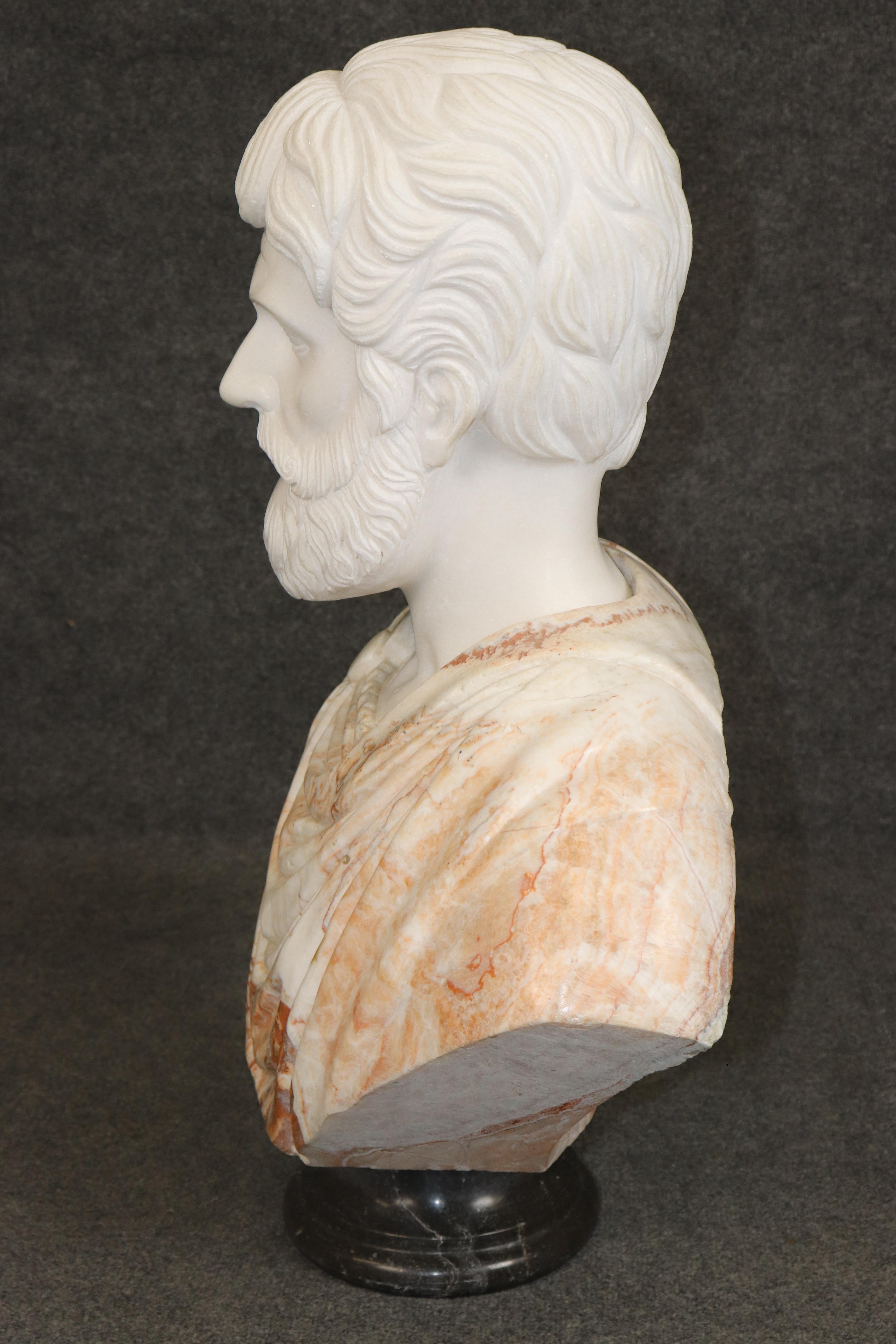 Neoclassico Busto di Giulio Cesare in terra di Siena e marmo di Carrara splendidamente intagliato, anni '50 circa in vendita