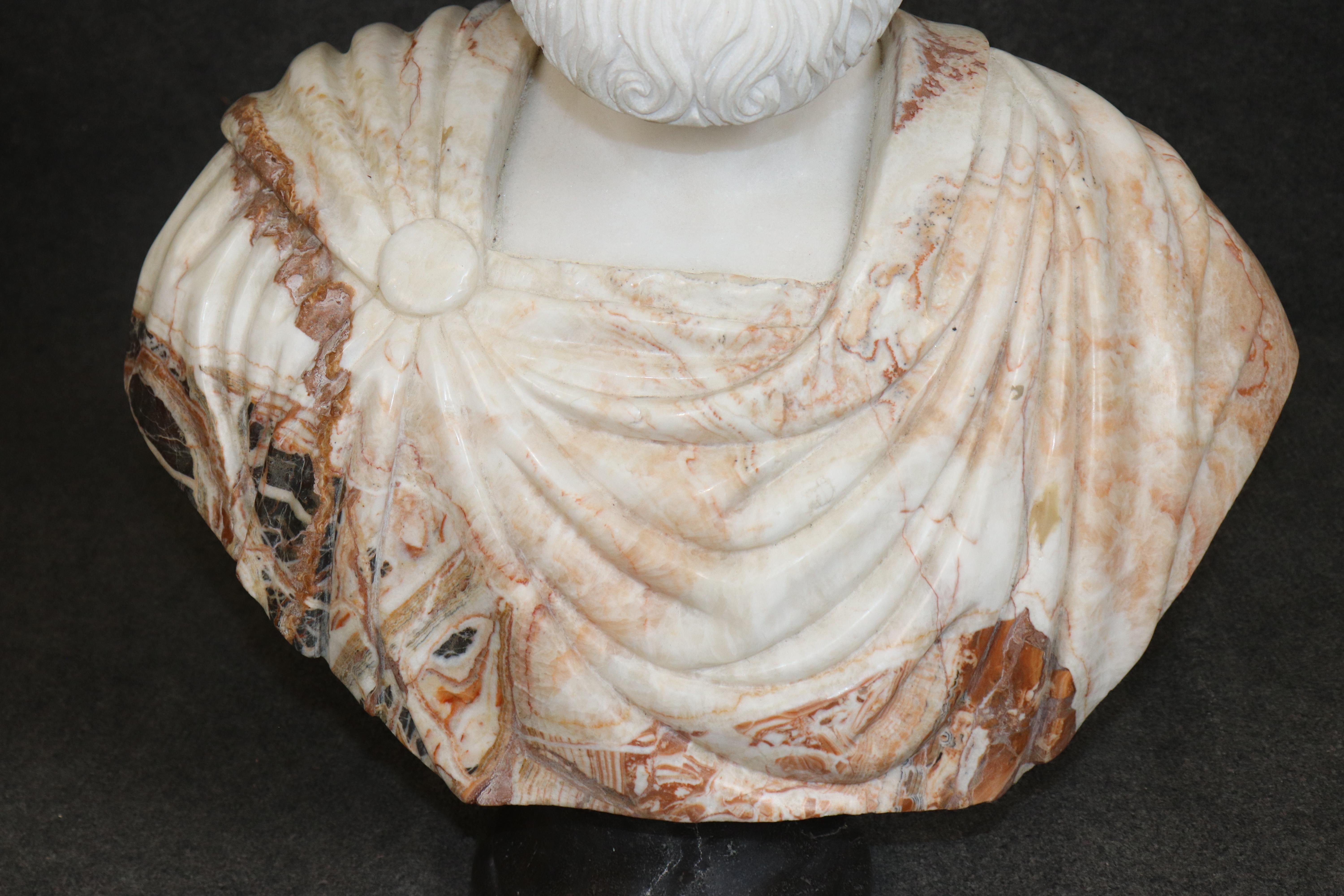 Busto di Giulio Cesare in terra di Siena e marmo di Carrara splendidamente intagliato, anni '50 circa in vendita 1