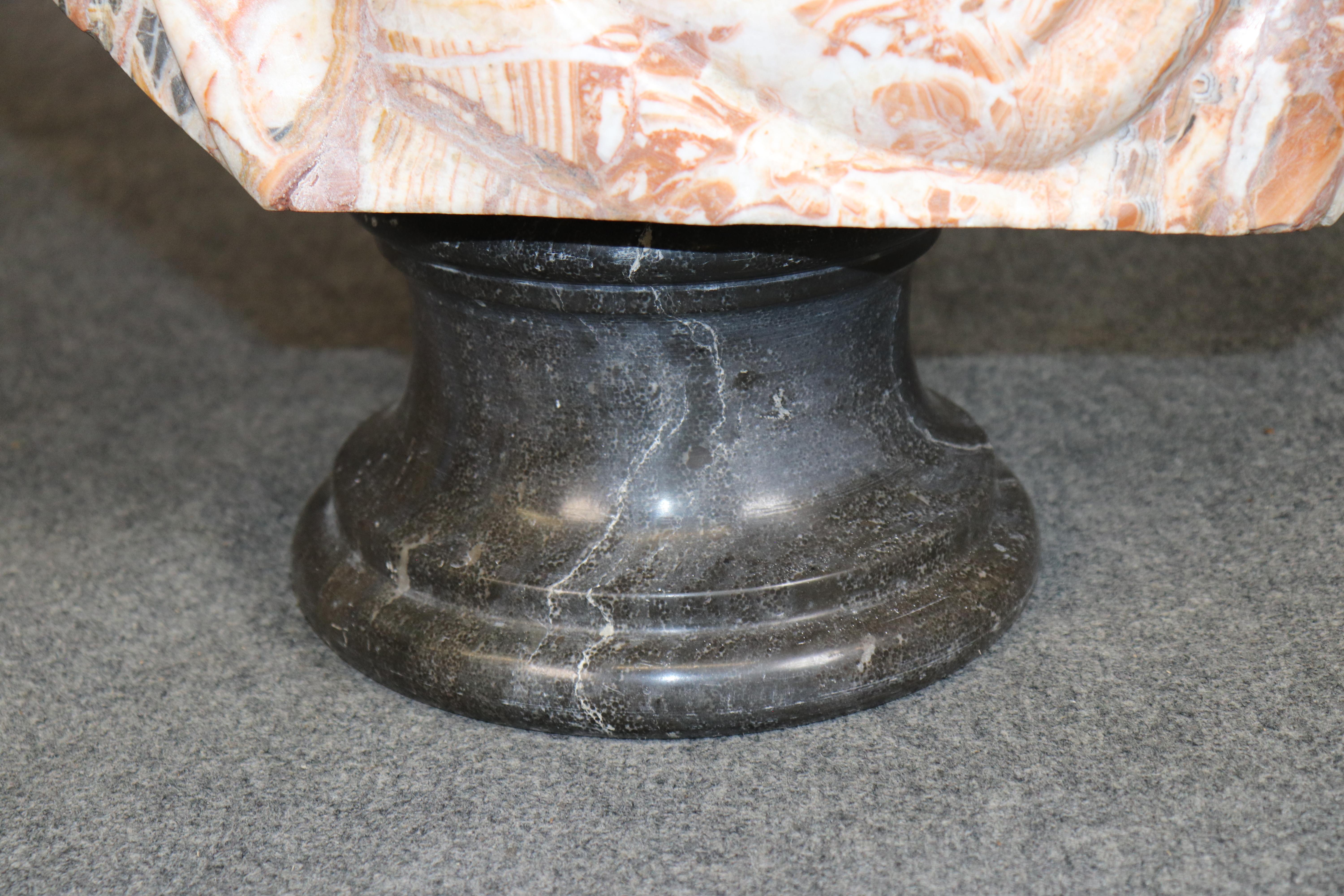 Busto di Giulio Cesare in terra di Siena e marmo di Carrara splendidamente intagliato, anni '50 circa in vendita 2