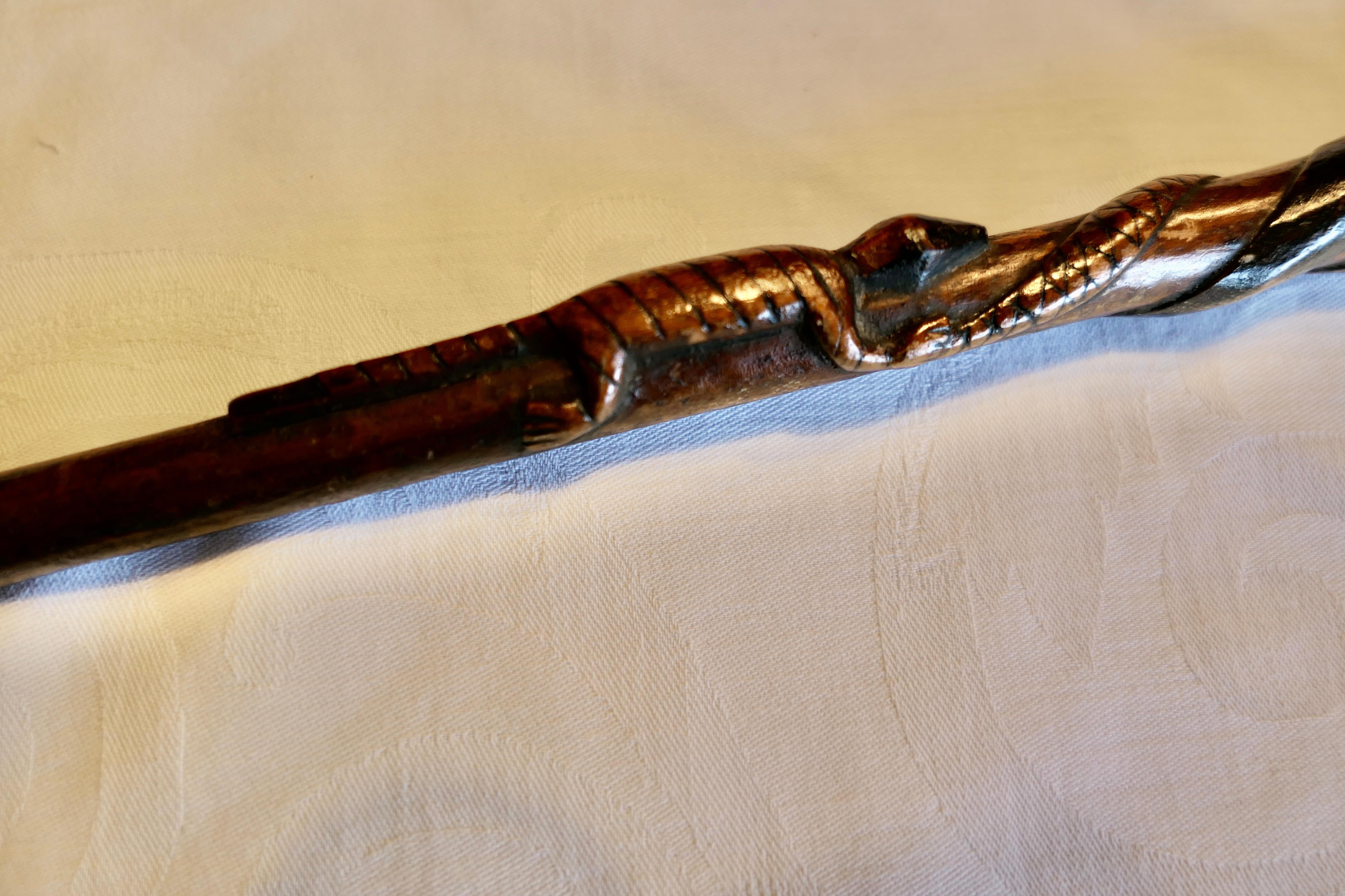 Wood Beautifully Carved Two Tone Malacca Gentleman's Walking Stick with Snakes For Sale