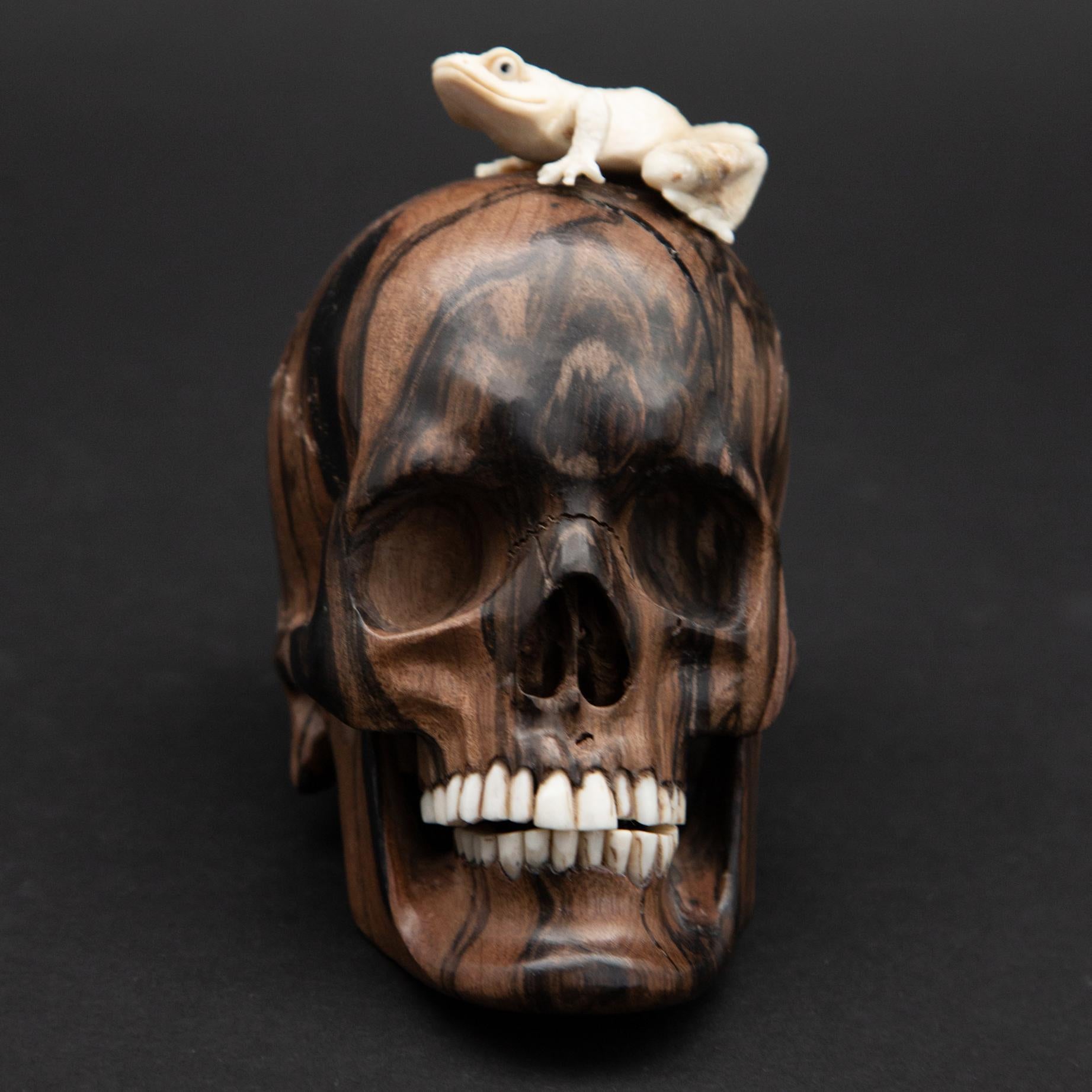 Beautifully sculpted wood skull with a carved moose antler frog. Meticulously created by skilled Indonesian artists, this is a one of a kind piece.
