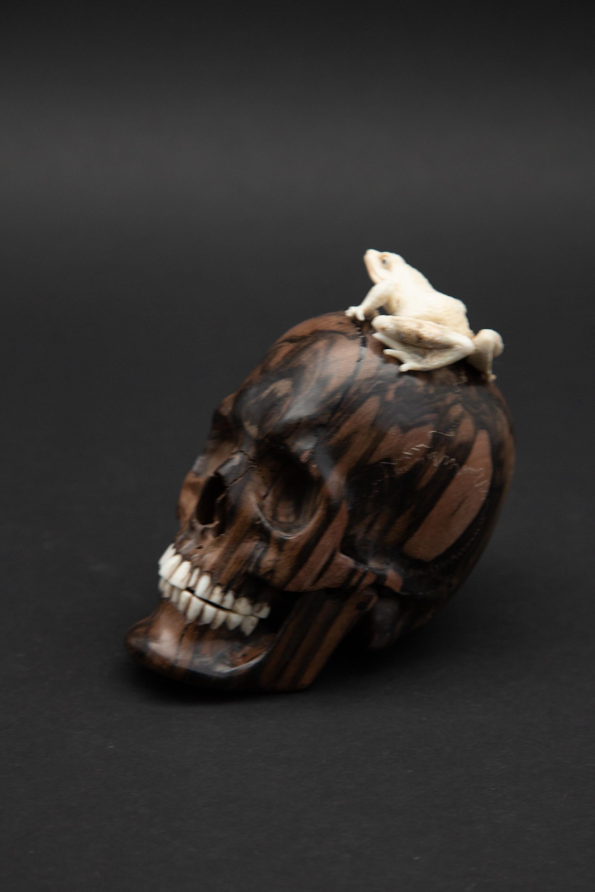 Indonesian Beautifully Carved Wood and Moose Antler Skull and Frog