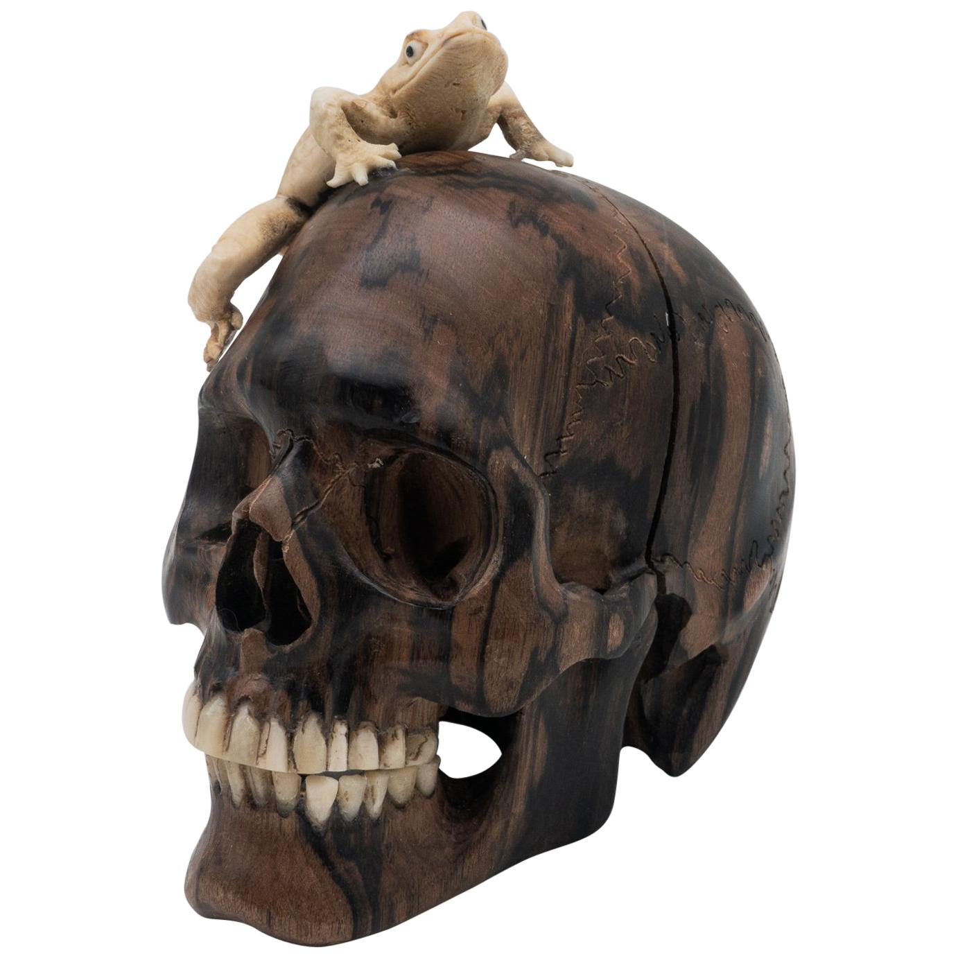 Beautifully Carved Wood and Moose Antler Skull and Frog