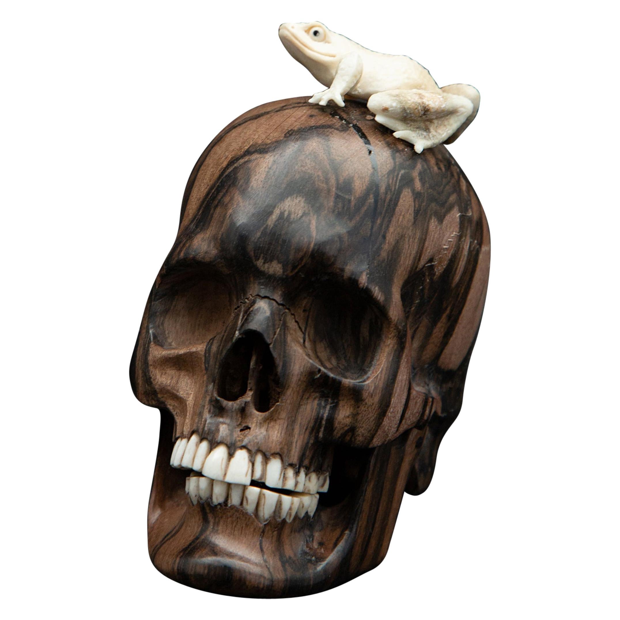 Beautifully Carved Wood and Moose Antler Skull and Frog
