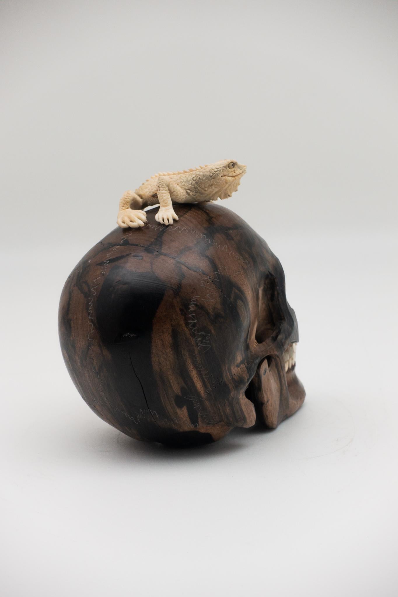 Beautifully sculpted wood skull with a carved moose antler lizard. Meticulously created by skilled Indonesian artists, this is a one of a kind piece.