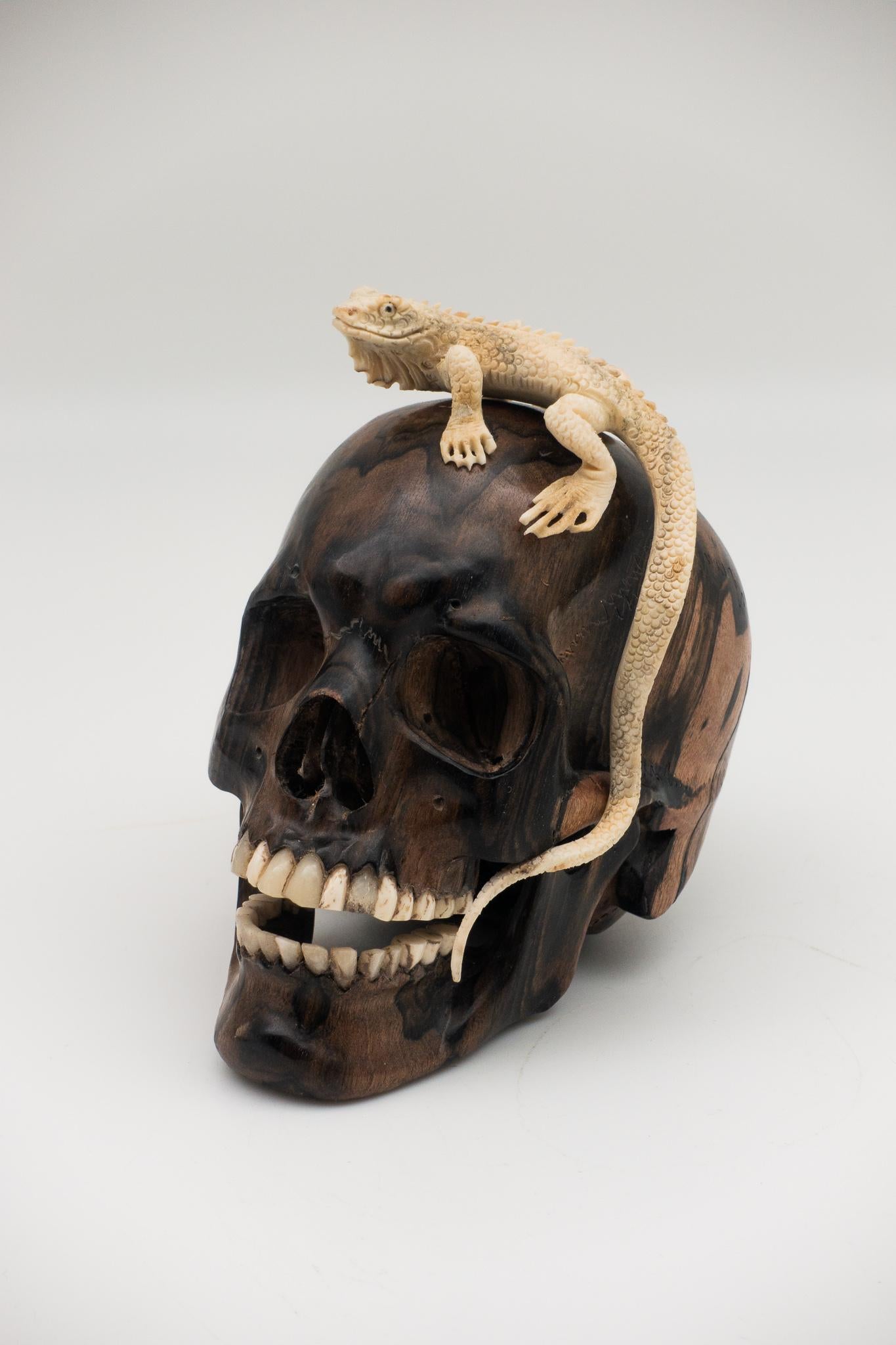 Contemporary Beautifully Carved Wood and Moose Antler Skull and Lizard