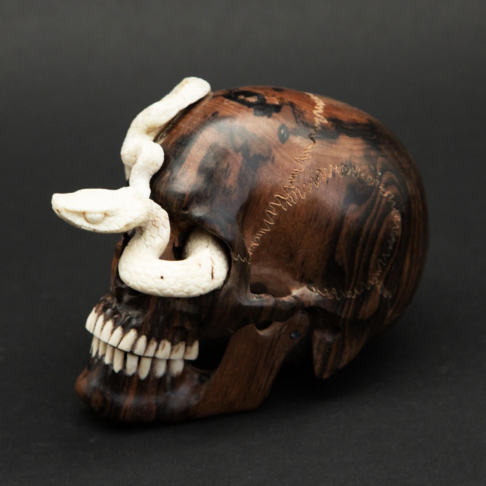 Beautifully sculpted wood skull with a carved moose antler snake. Meticulously created by skilled Indonesian artists, this is a one of a kind piece.
