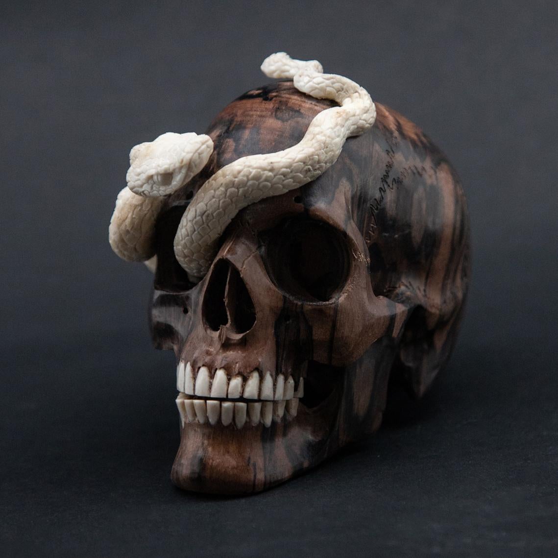 Beautifully sculpted wood skull with a carved moose antler snake. Meticulously created by skilled Indonesian artists, this is a one of a kind piece.