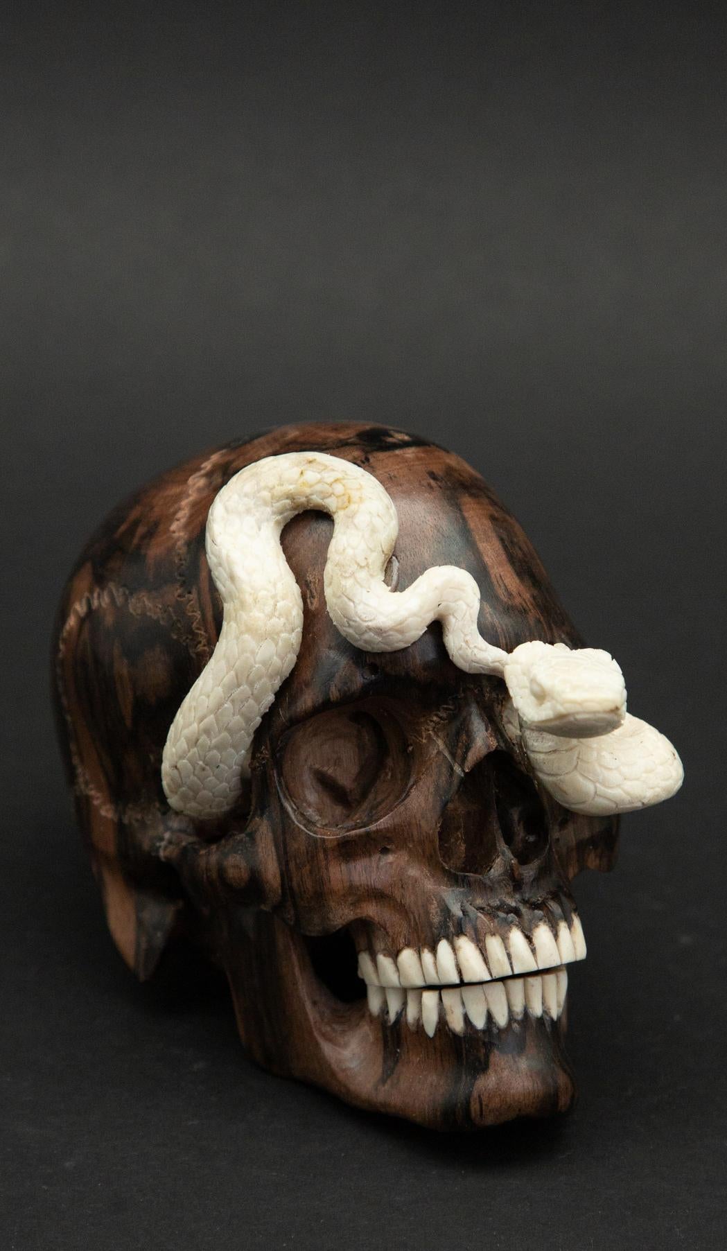 Primitive Beautifully Carved Wood and Moose Antler Skull and Snake