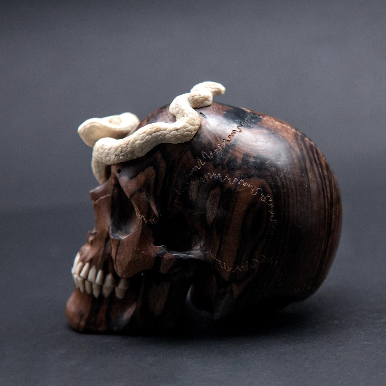 Primitive Beautifully Carved Wood and Moose Antler Skull and Snake