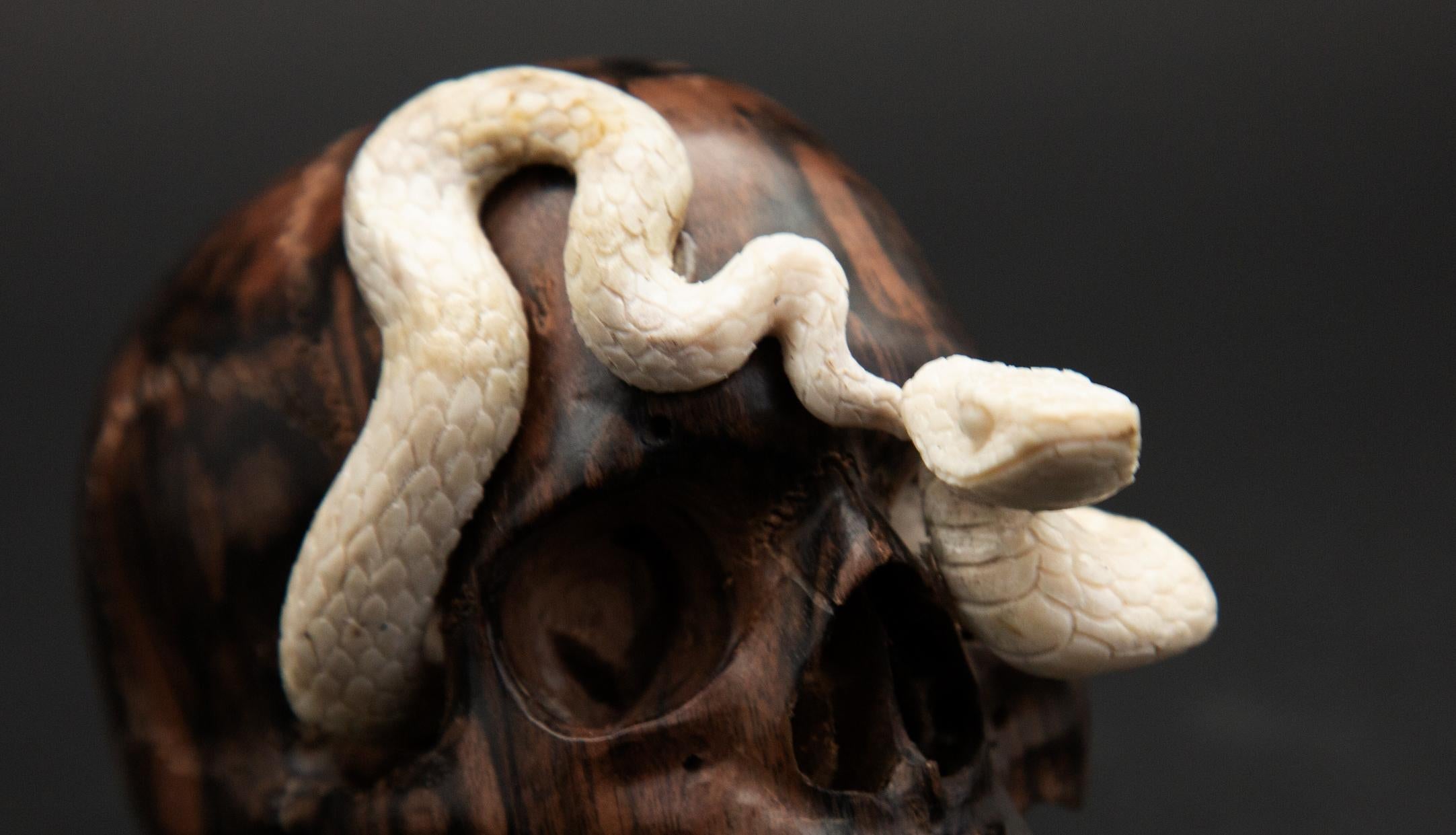 Indonesian Beautifully Carved Wood and Moose Antler Skull and Snake