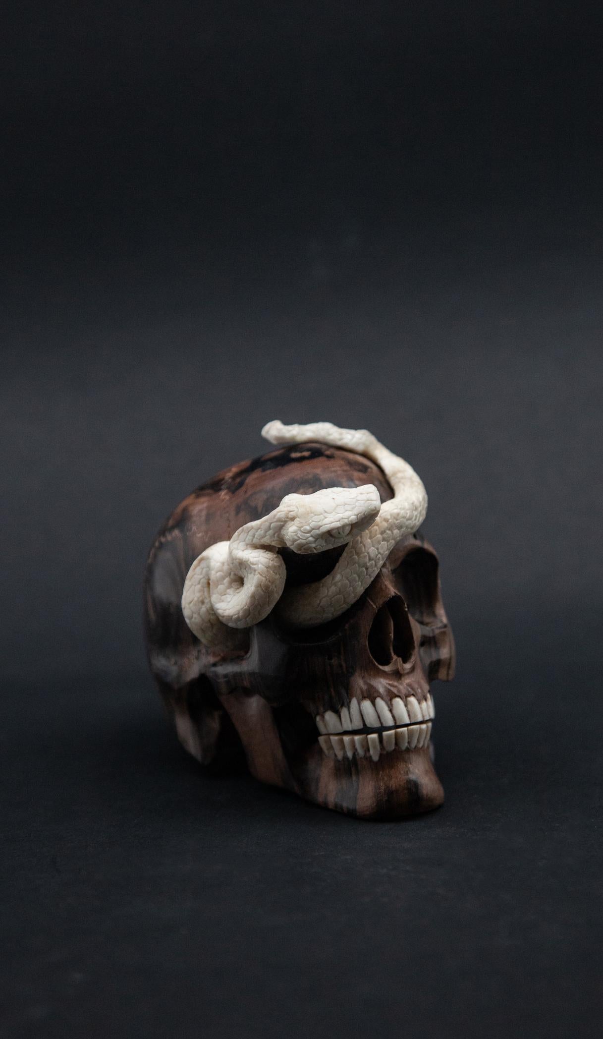 Beautifully Carved Wood and Moose Antler Skull and Snake In Good Condition In New York, NY
