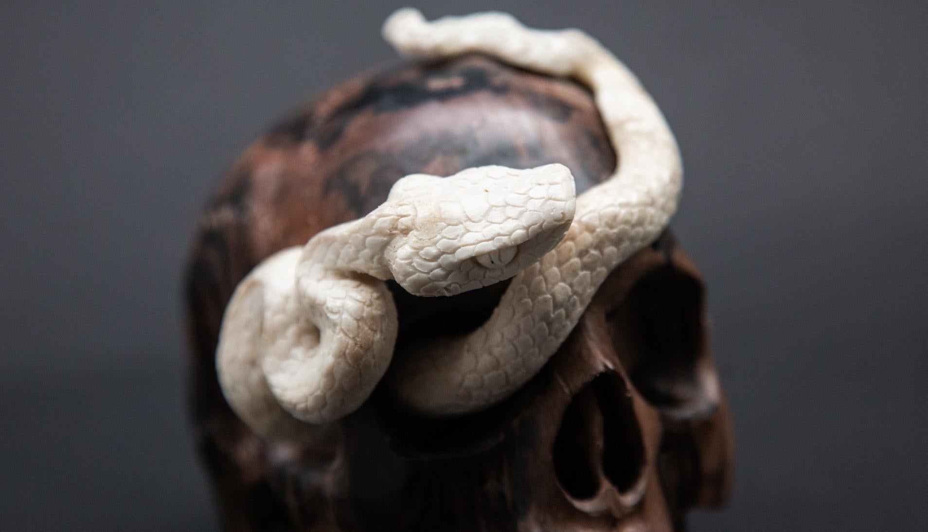 Contemporary Beautifully Carved Wood and Moose Antler Skull and Snake