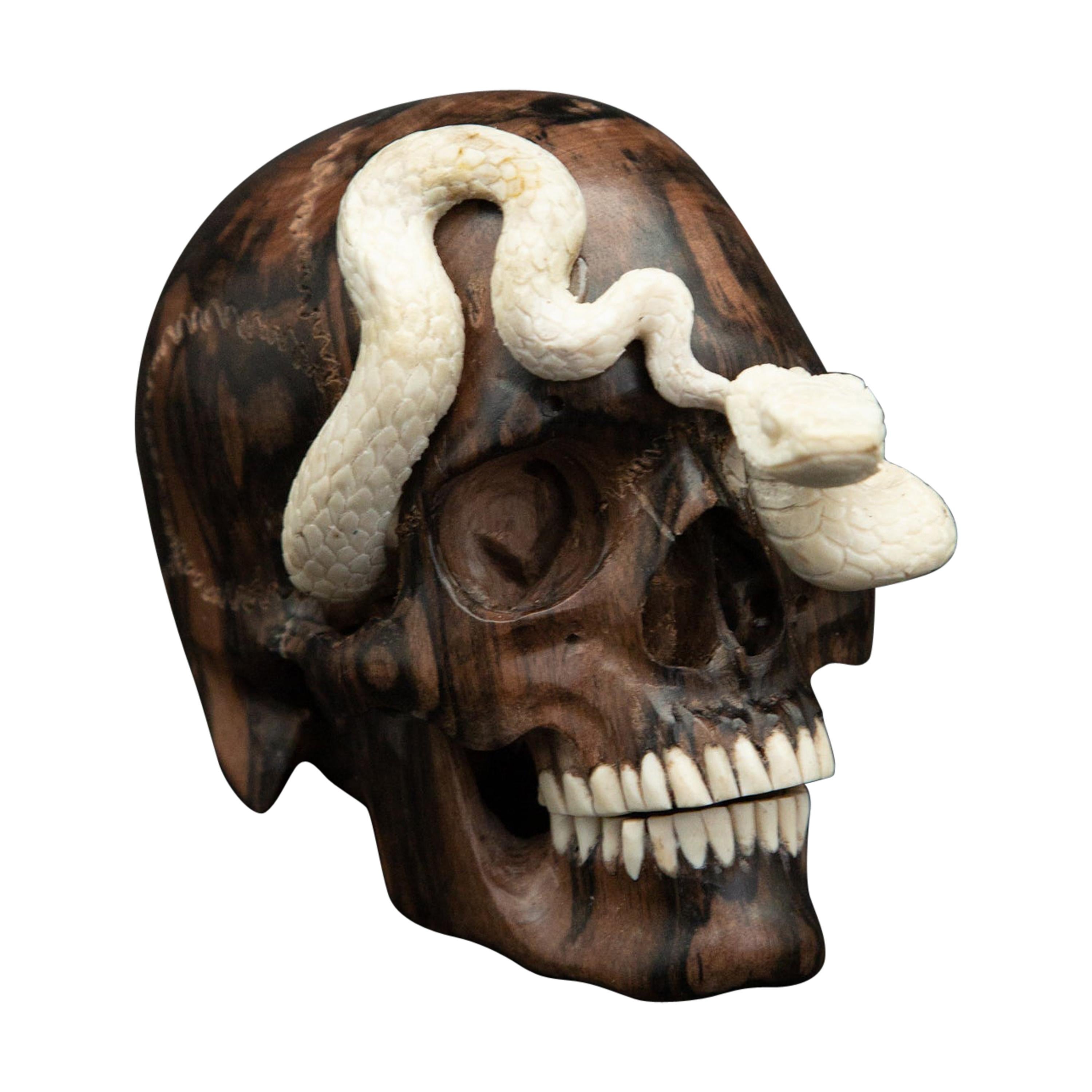 Beautifully Carved Wood and Moose Antler Skull and Snake