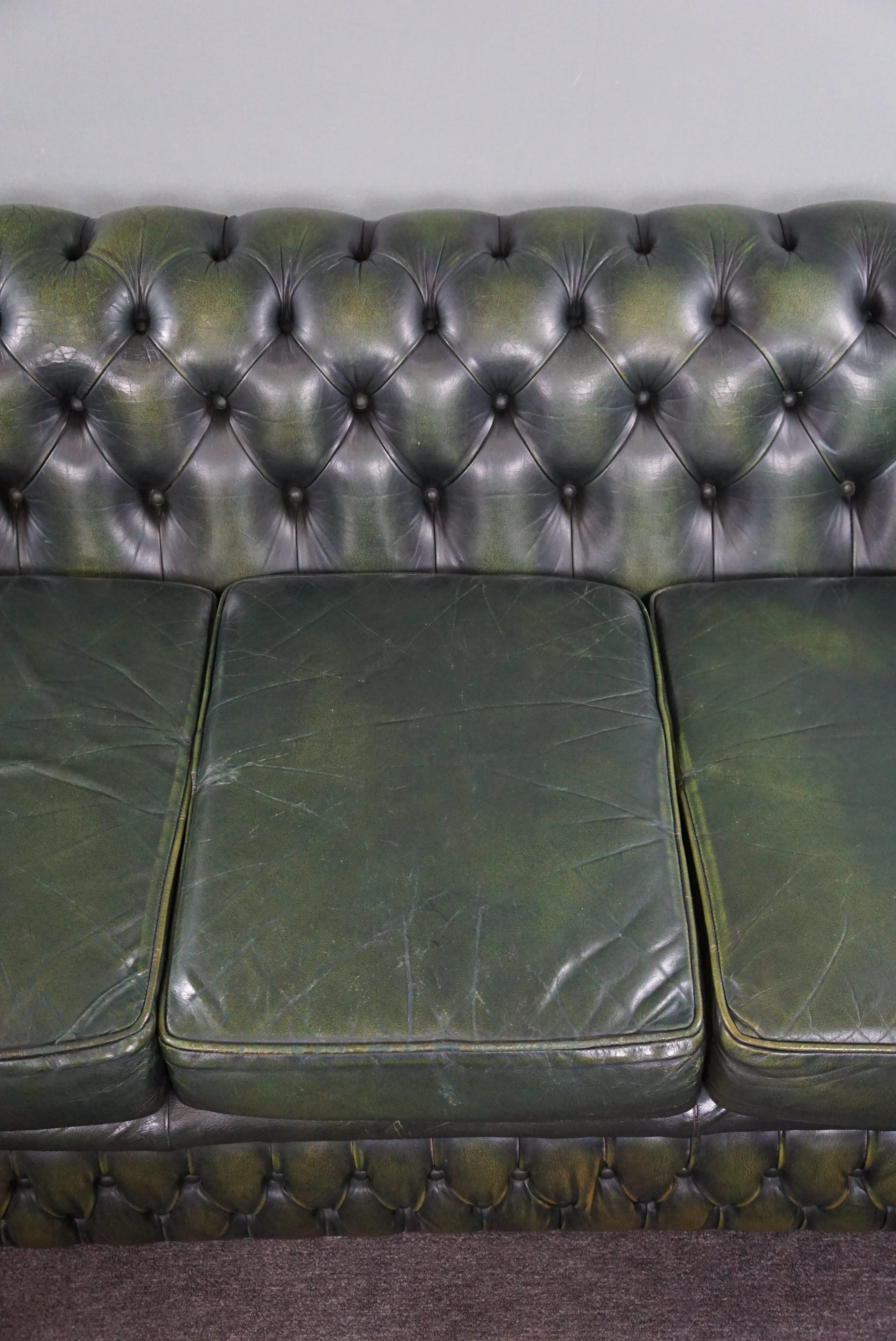 Beautifully colored spacious green cow leather Chesterfield sofa, 3.5 seater 5