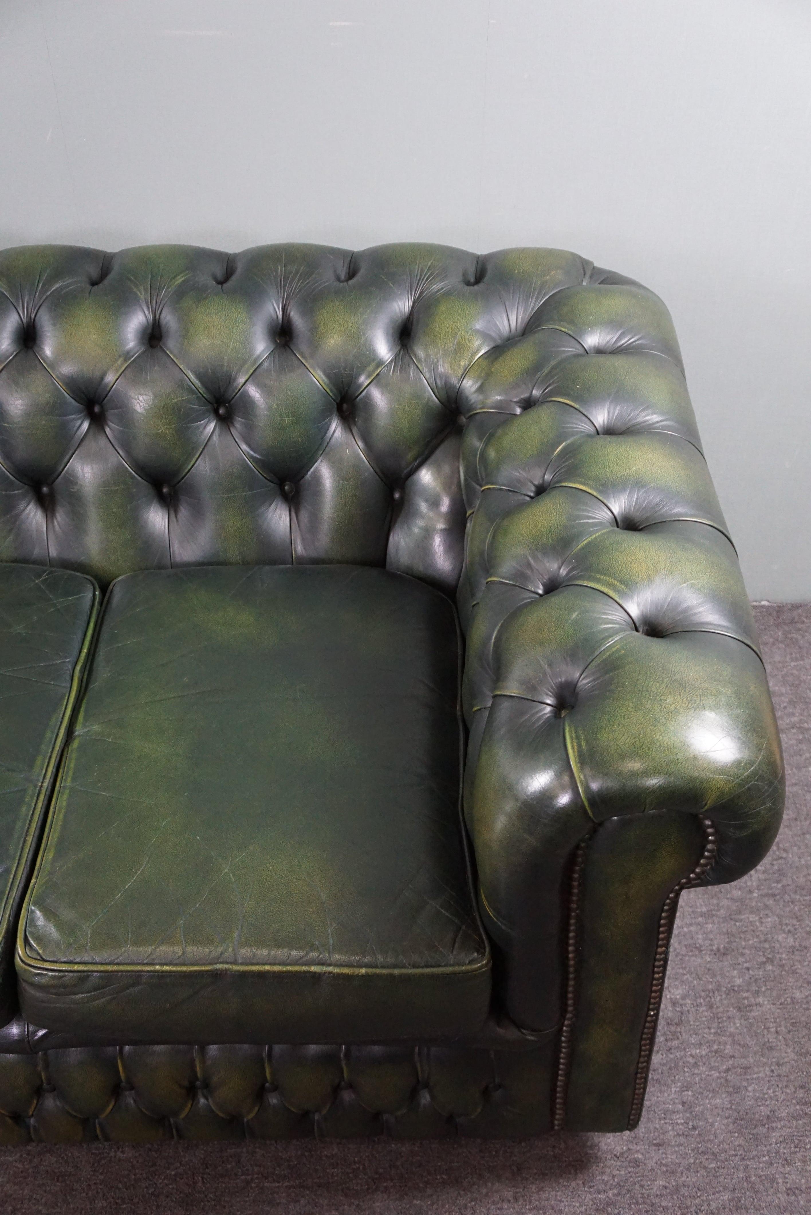 Beautifully colored spacious green cow leather Chesterfield sofa, 3.5 seater 6