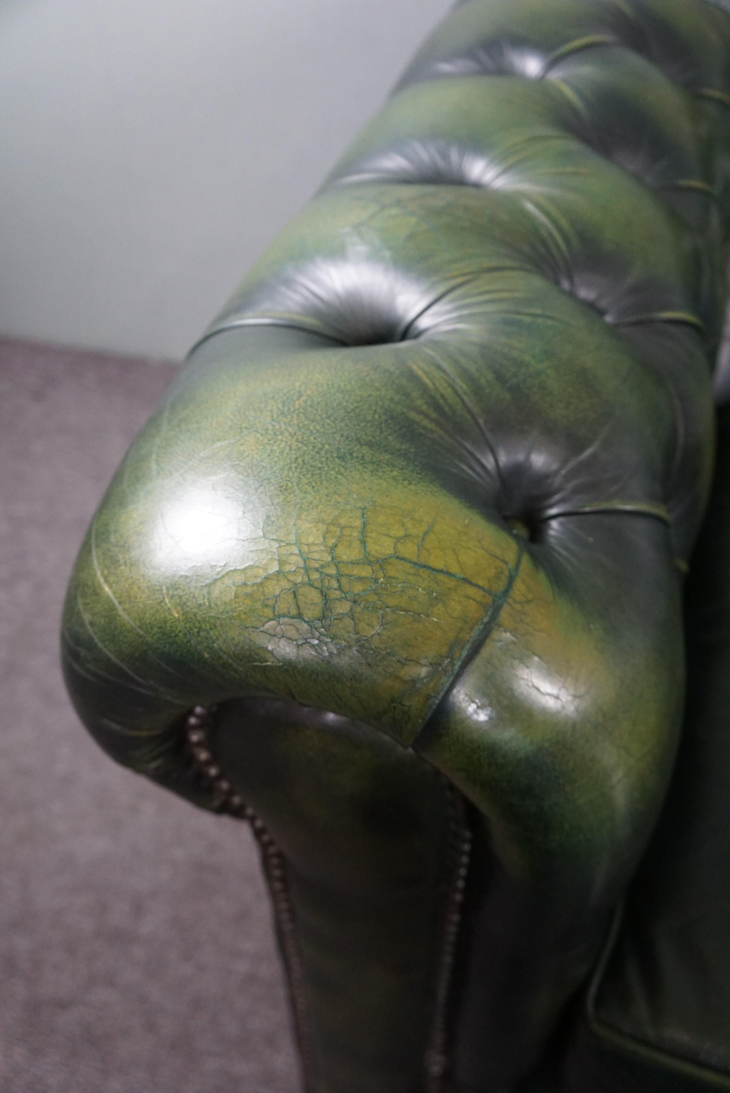 Beautifully colored spacious green cow leather Chesterfield sofa, 3.5 seater 7