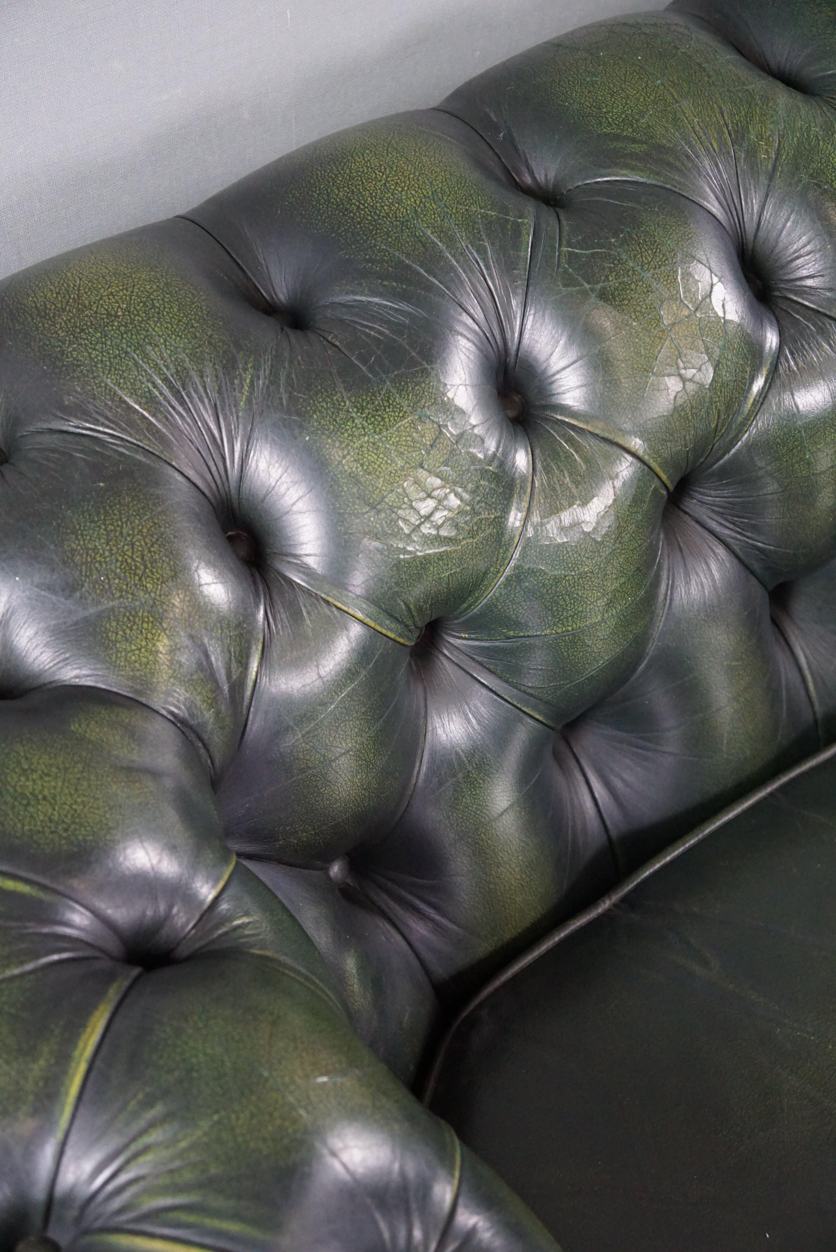 Beautifully colored spacious green cow leather Chesterfield sofa, 3.5 seater 8