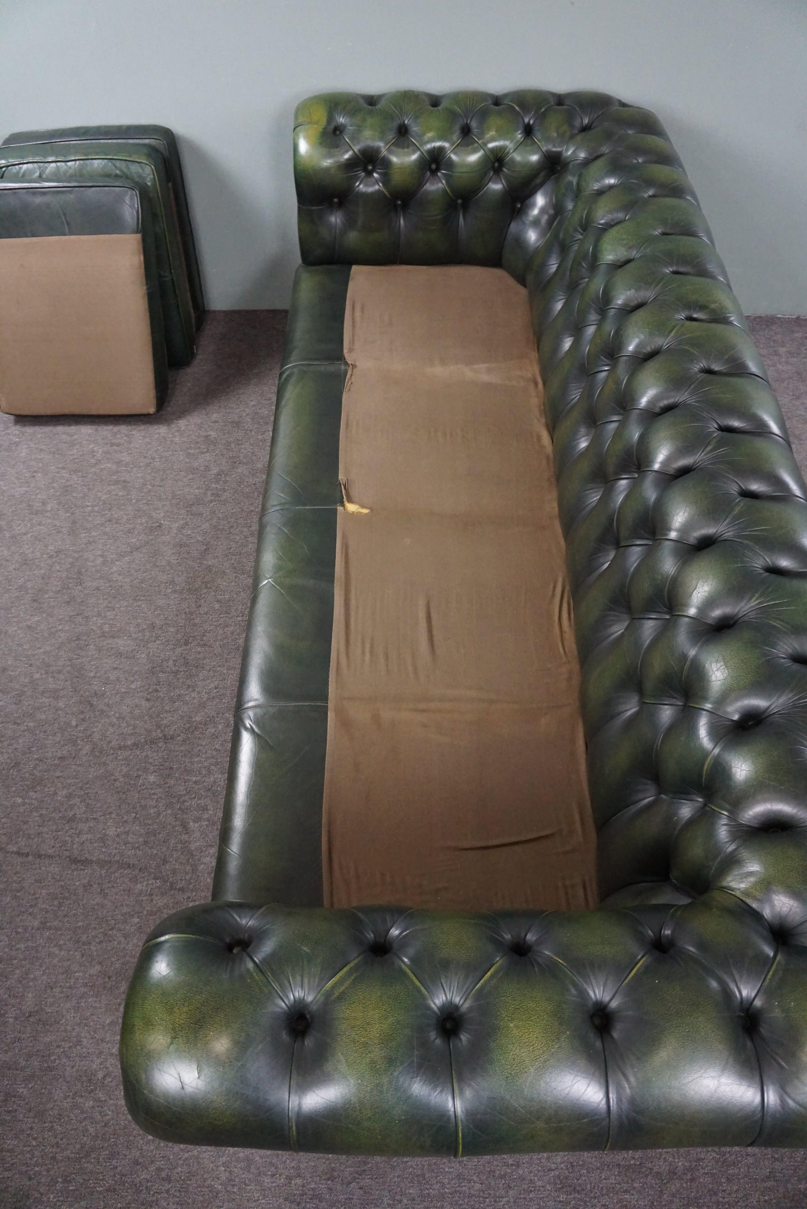 Beautifully colored spacious green cow leather Chesterfield sofa, 3.5 seater 12