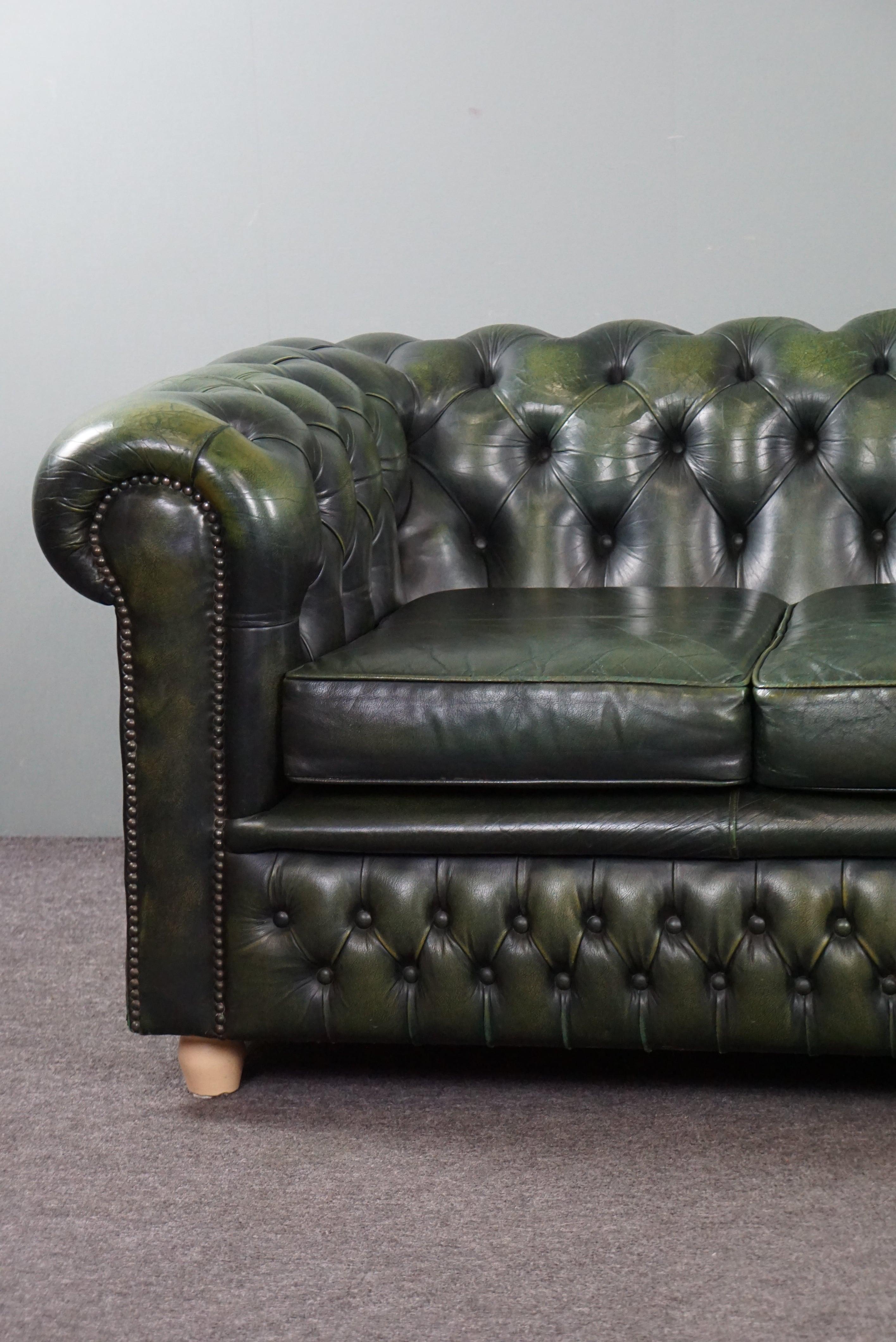 Beautifully colored spacious green cow leather Chesterfield sofa, 3.5 seater 1