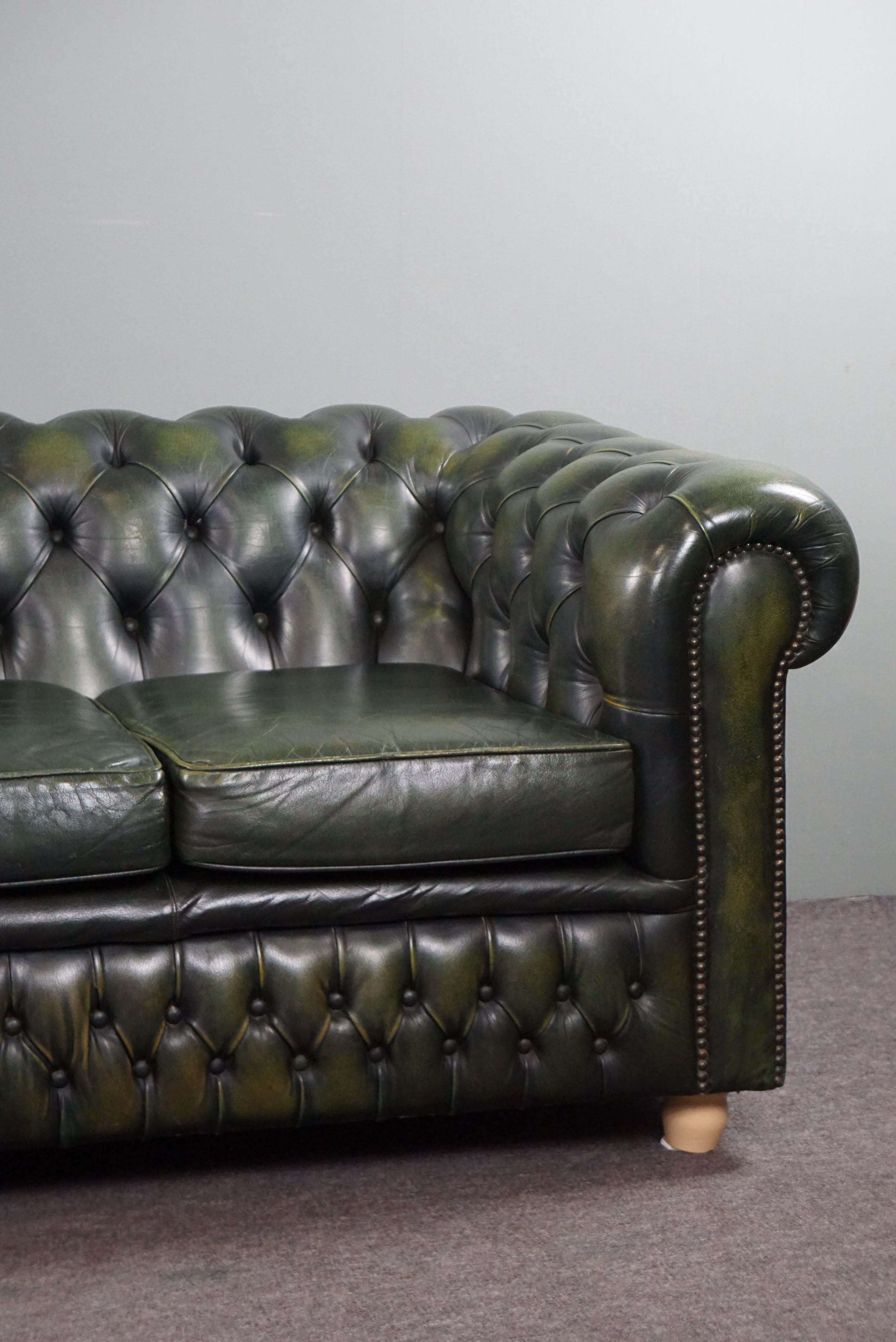 Beautifully colored spacious green cow leather Chesterfield sofa, 3.5 seater 2
