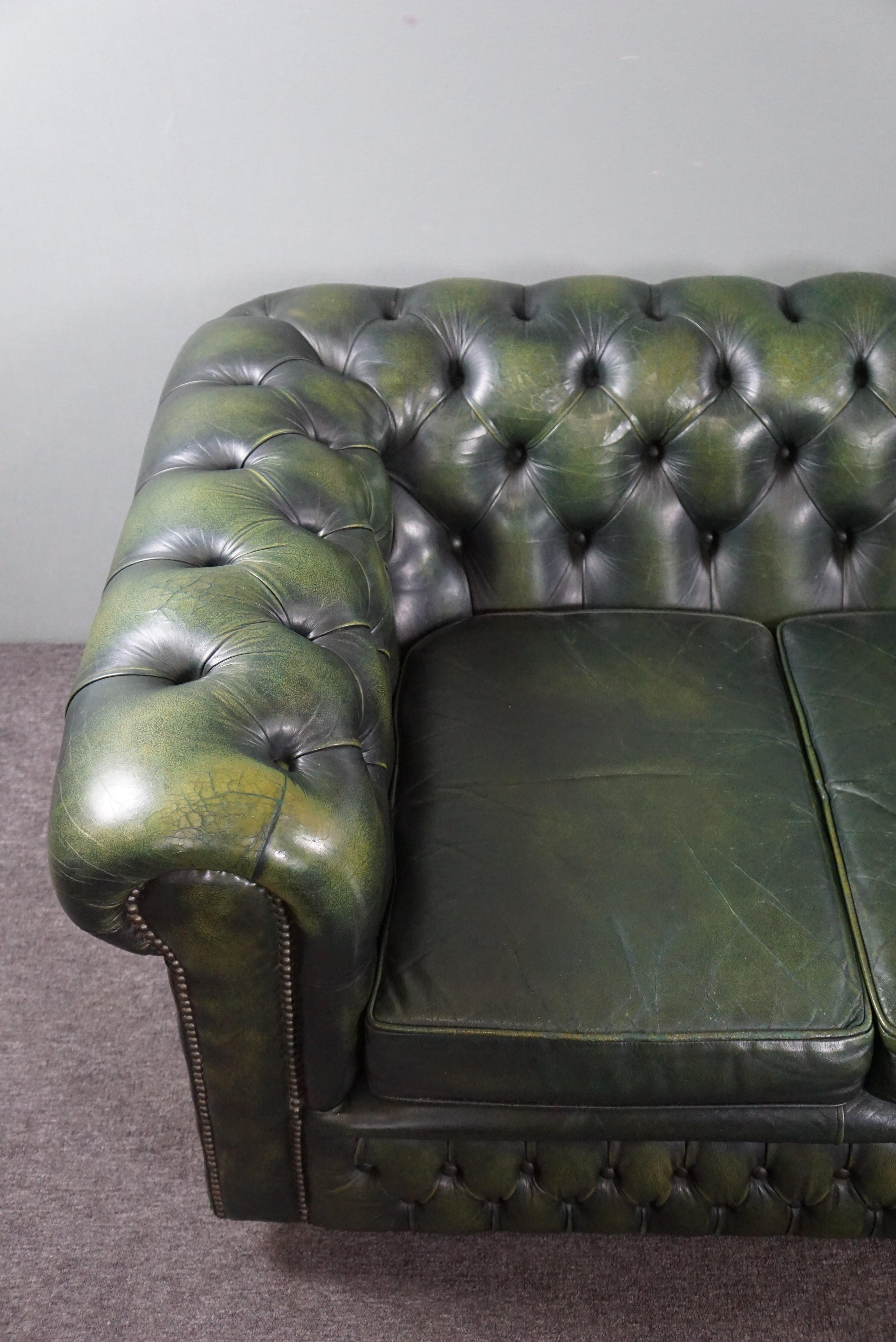 Beautifully colored spacious green cow leather Chesterfield sofa, 3.5 seater 3