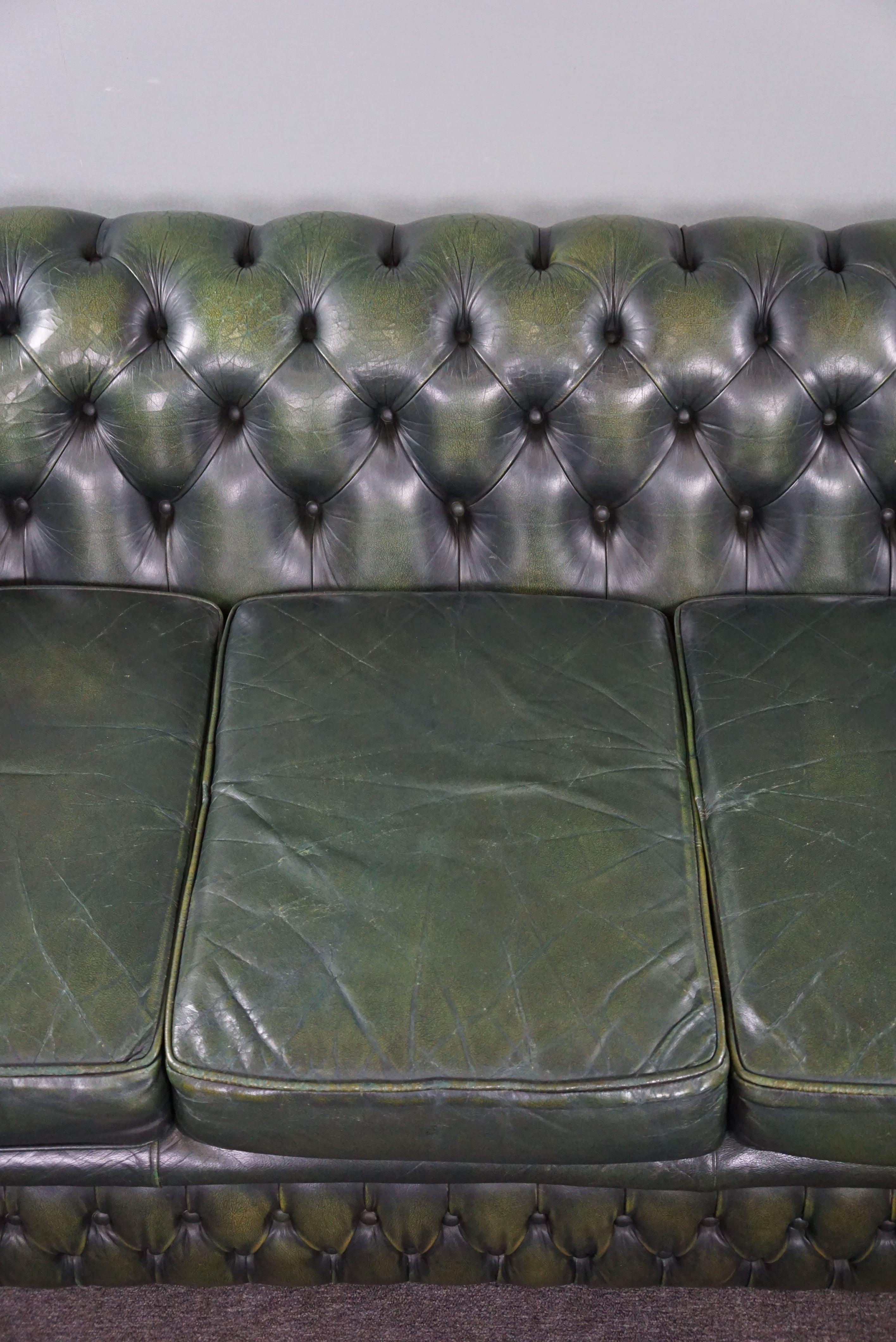 Beautifully colored spacious green cow leather Chesterfield sofa, 3.5 seater 4