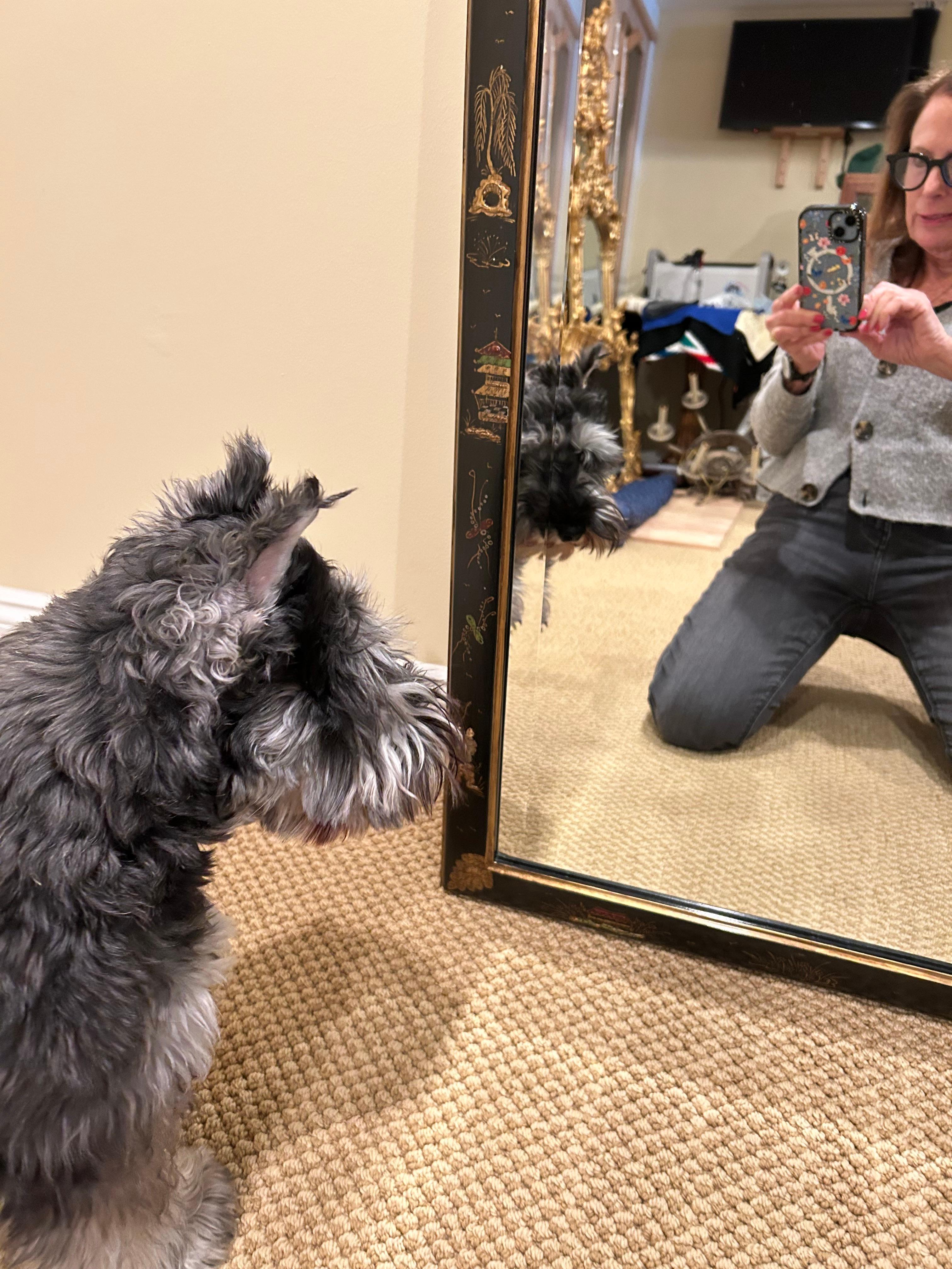 American Beautifully Decorated Black Chinoiserie Bevelled Mirror