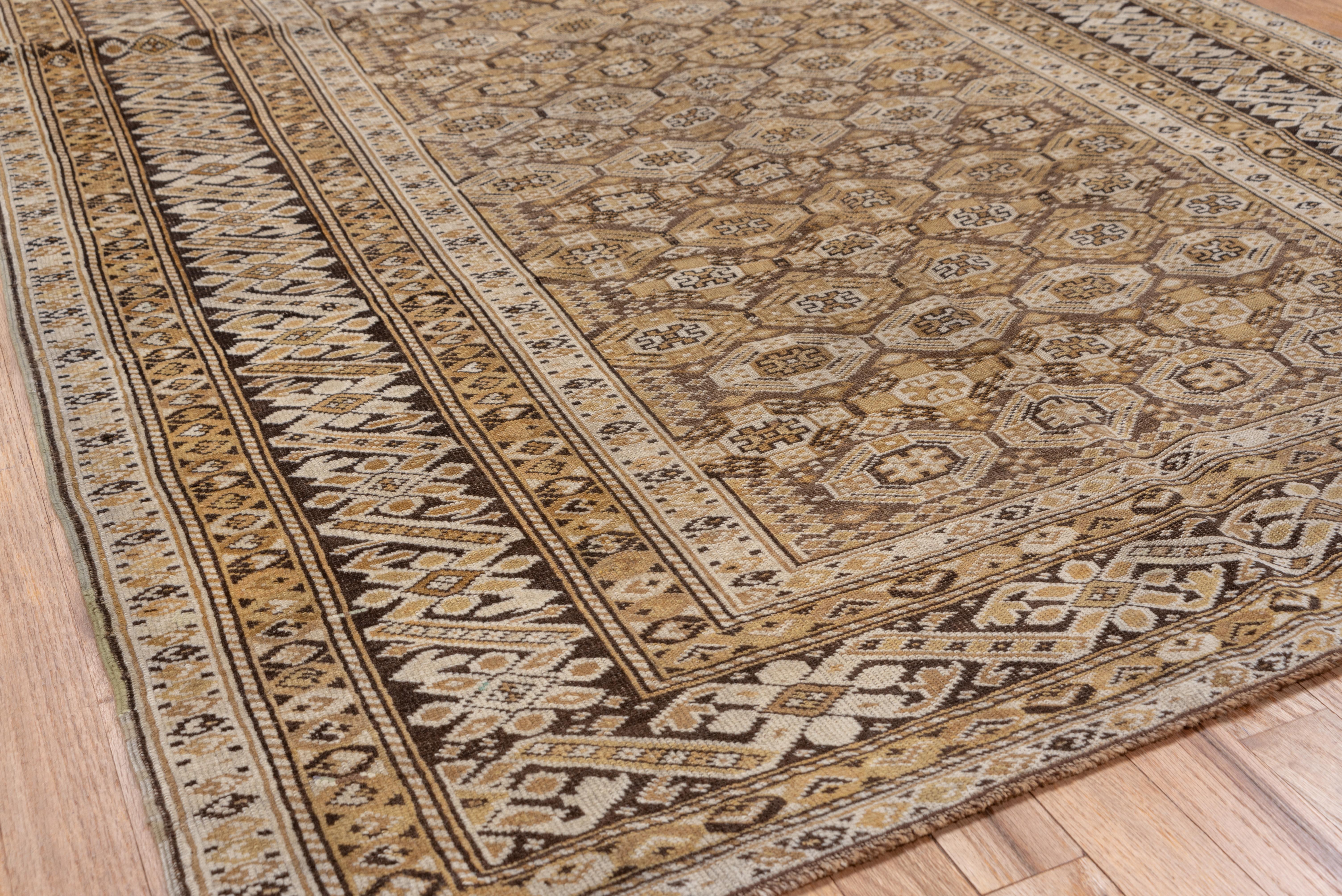 This east Caspian long rug show a characteristic rosette and diagonal bar Chi-Chi border on dark brown, with a brown field with additional Chi-Chi octagons, interrupted by a panel of 