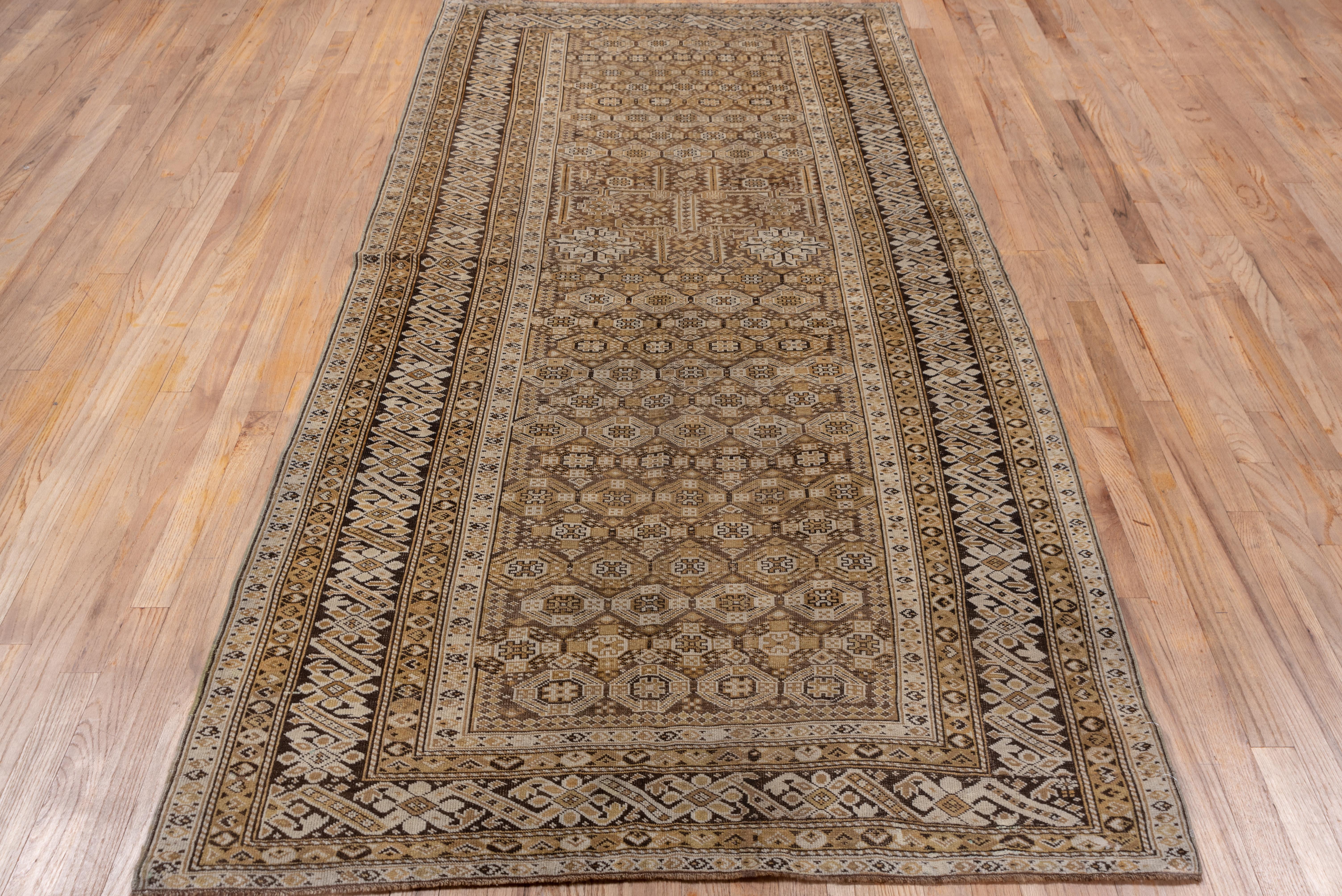 Tribal Beautifully Detailed Antique Caucasian Shirvan Chi Chi Rug, circa 1920s For Sale