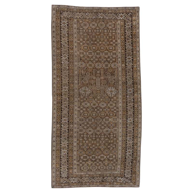 Antique Caucasian, Chi-Chi Rug For Sale at 1stDibs | 5 x 7 rugs