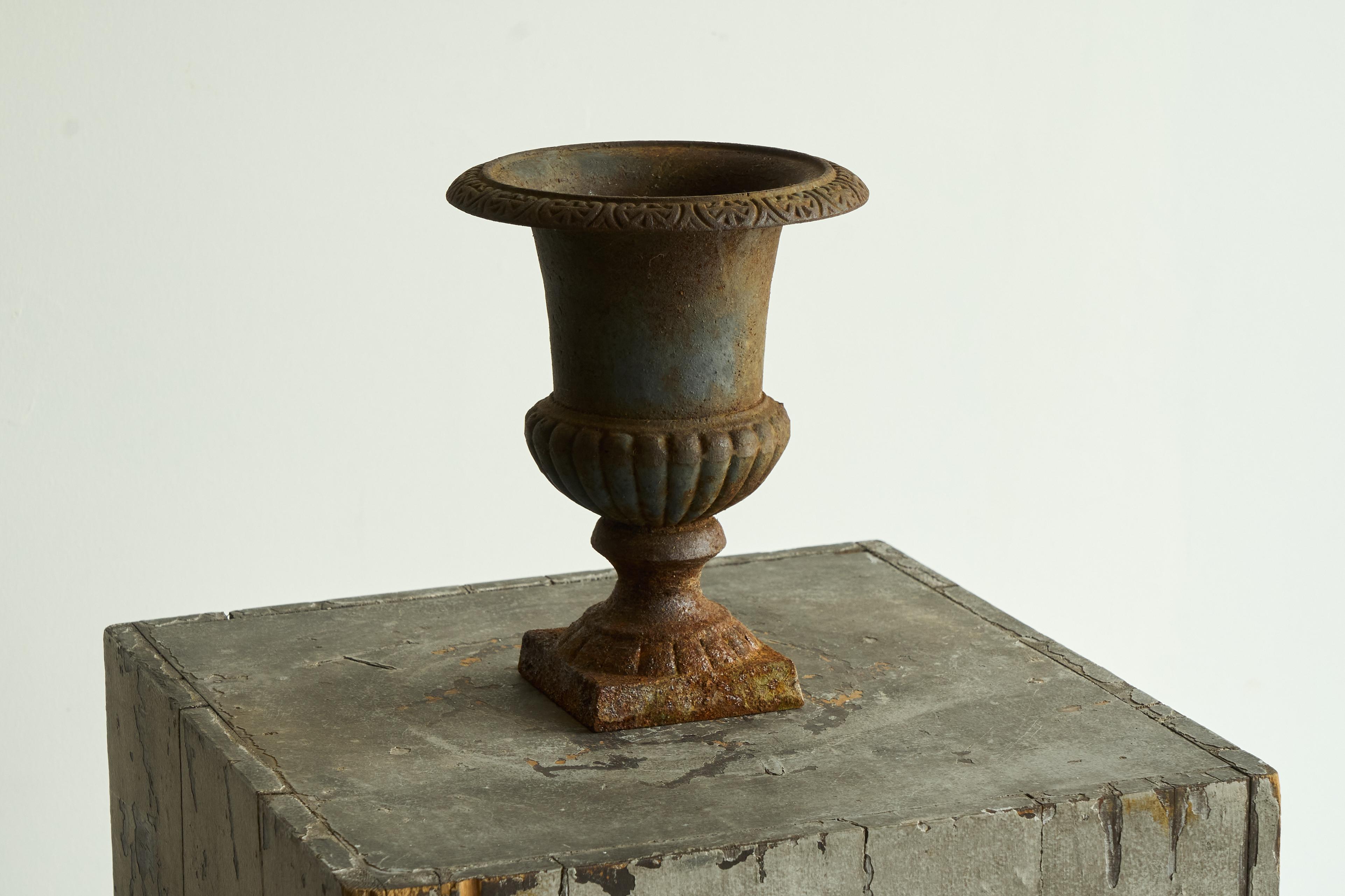 Beautifully Patinated Neoclassical Cast Iron Vase or Planter Late 19th Century For Sale 6