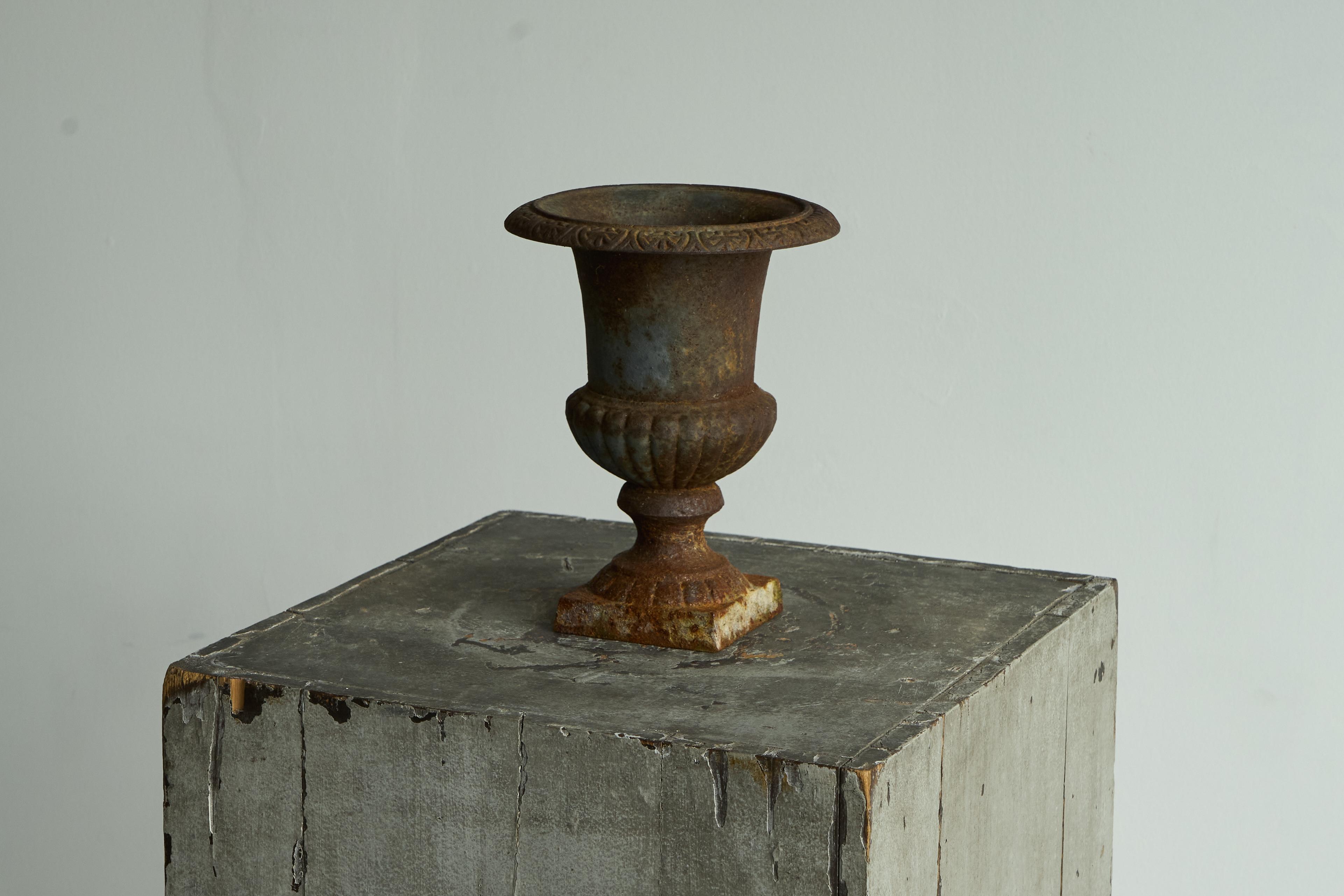 European Beautifully Patinated Neoclassical Cast Iron Vase or Planter Late 19th Century For Sale