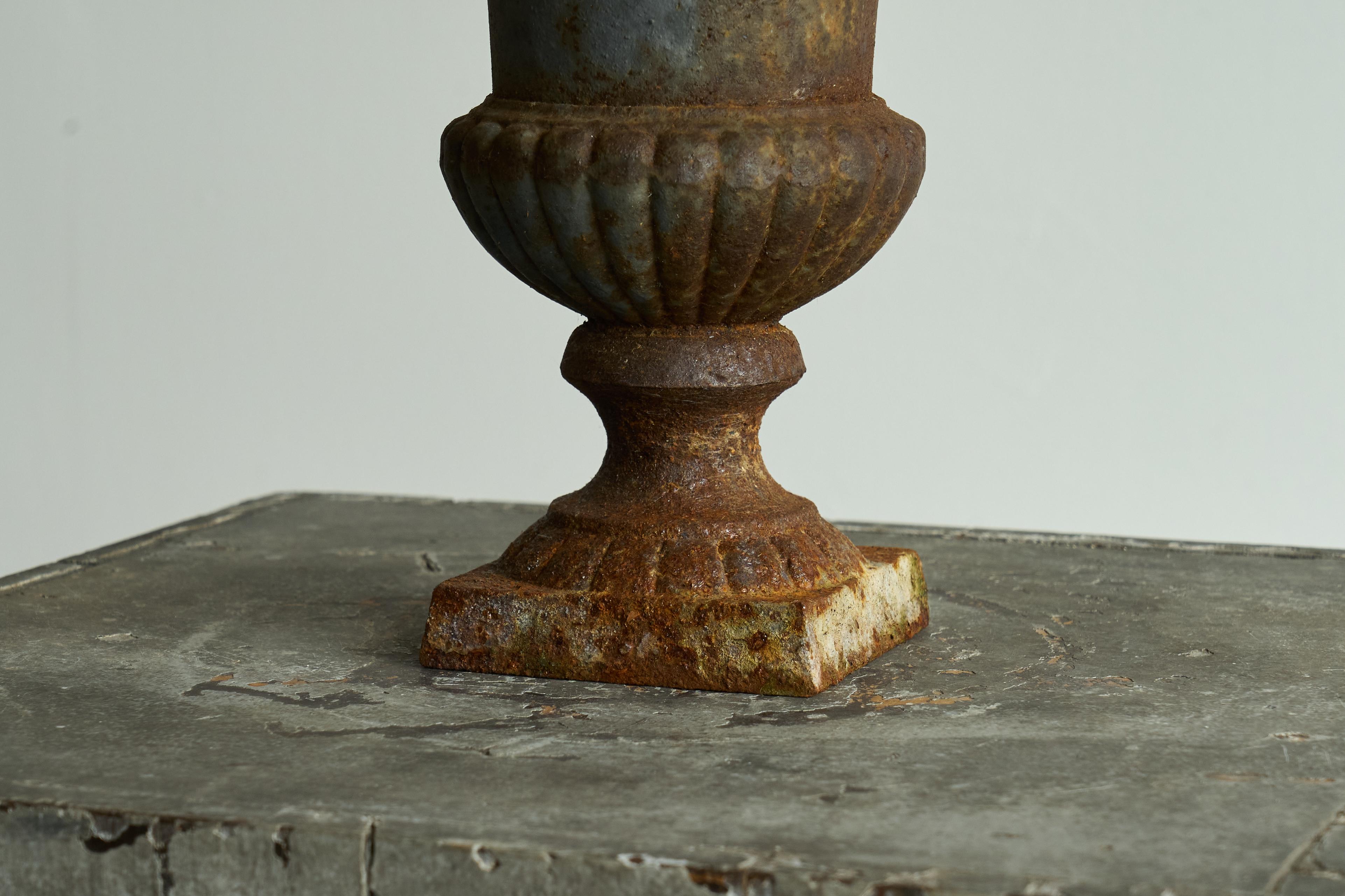 Beautifully Patinated Neoclassical Cast Iron Vase or Planter Late 19th Century For Sale 1