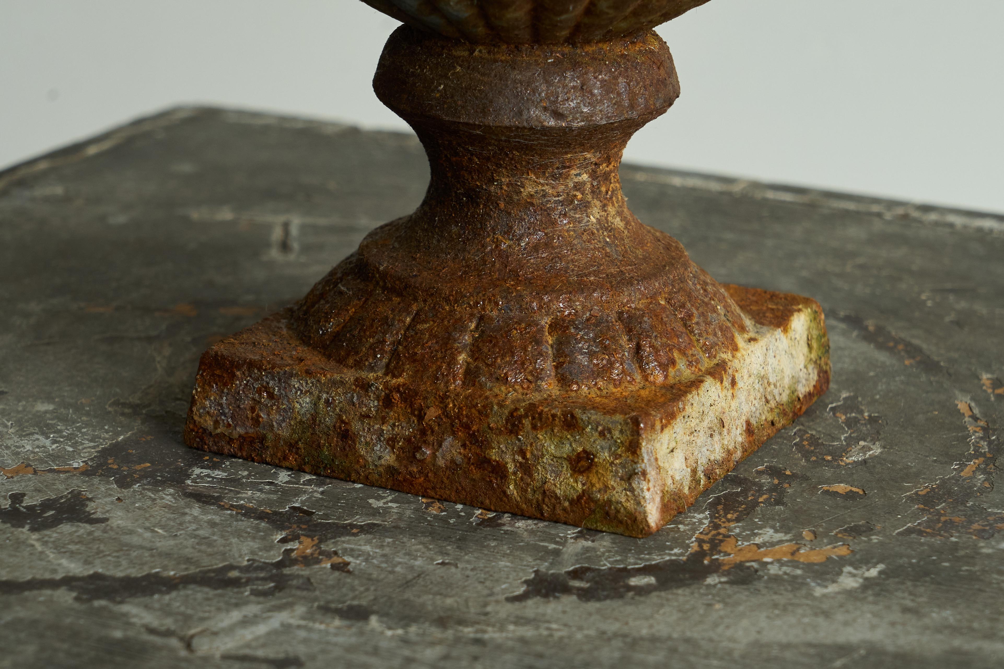 Beautifully Patinated Neoclassical Cast Iron Vase or Planter Late 19th Century For Sale 4