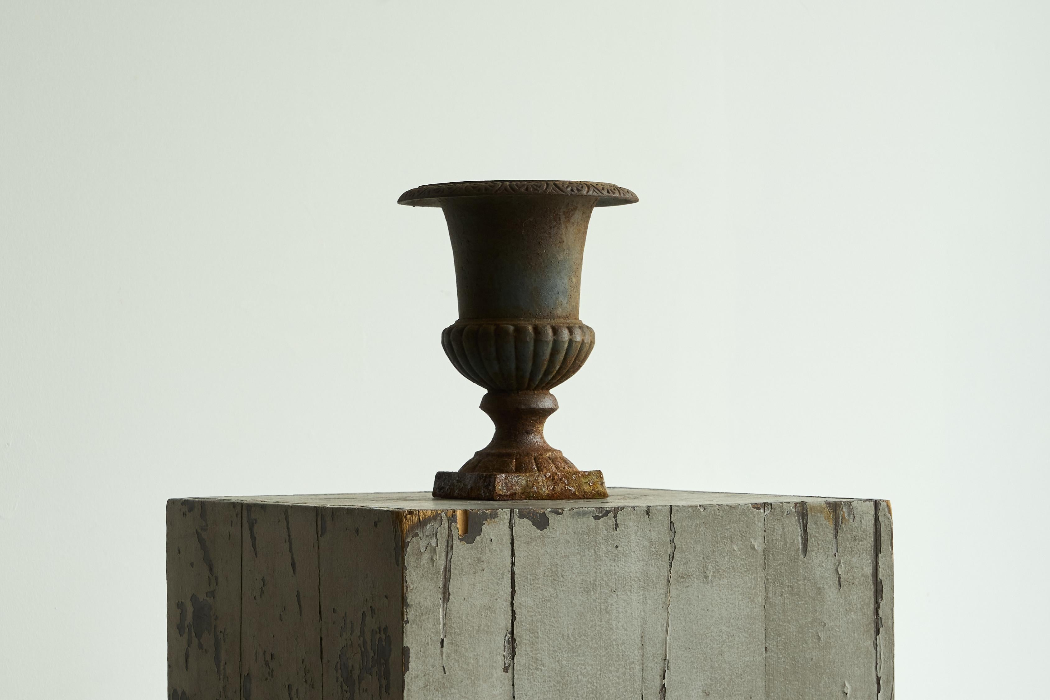 Beautifully Patinated Neoclassical Cast Iron Vase or Planter Late 19th Century For Sale 5