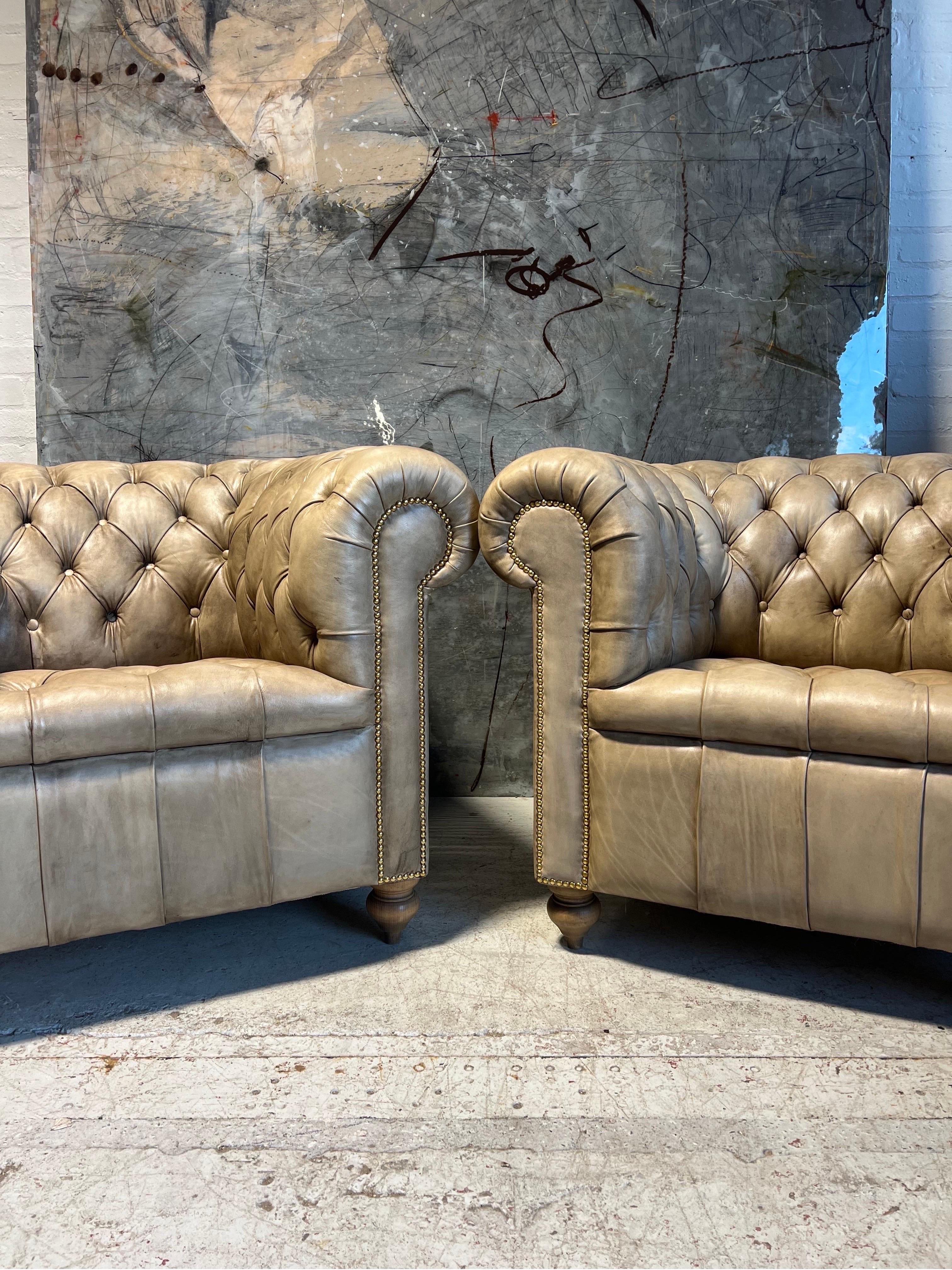 Beautifully Restored MidC Chesterfield Club Chairs in Hand Dyed Leather For Sale 1