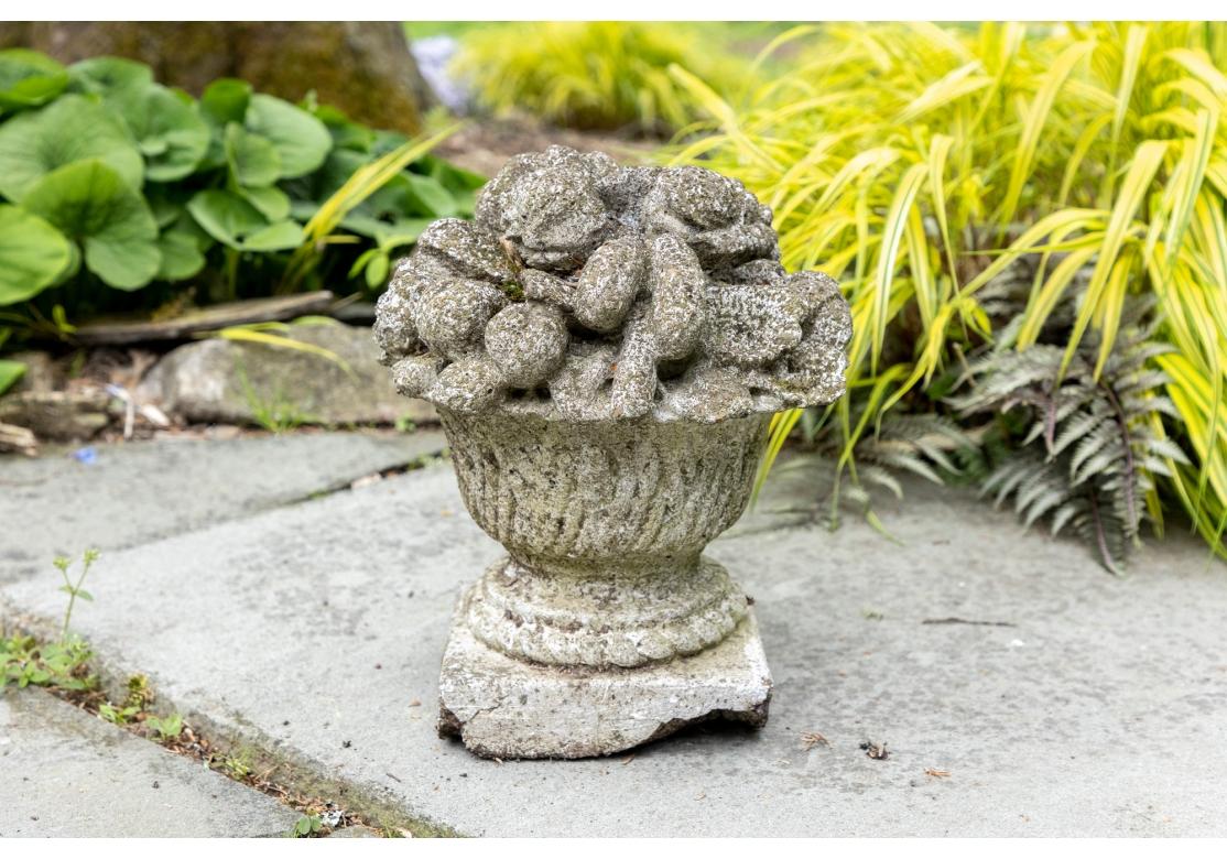 Cesta de frutas de cemento para el jardín Estadounidense