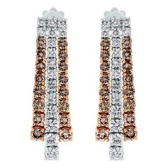Beauvince Lisa Rose Brown and White Diamond Earrings in Gold