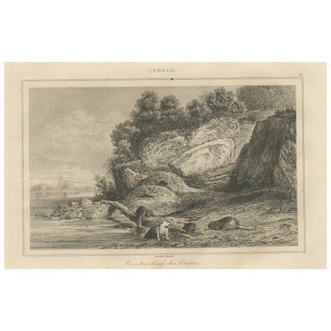 Beaver Dams on a Rocky Shore – 19th Century Canadian Wildlife Engraving