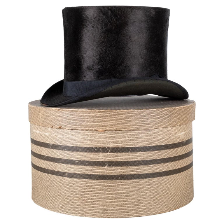 Beaver Skin Top Hat and Hat Box c.18801920 For Sale at 1stDibs