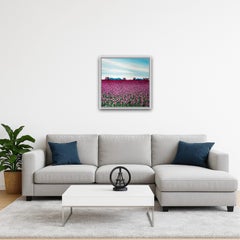 Pink Tulips: Blue Mountains, original painting, landscape