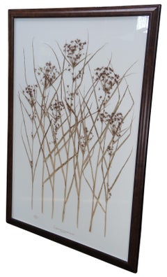 Becky Davis Botanicals Nutgrass Cyperus Esculentus Floral Wheat 61"