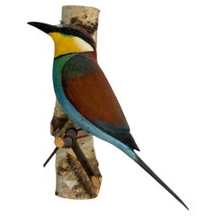 Pájaro carrocero grande de madera tallada a mano por Viechtauer, arte popular de la Black Forest, Austria