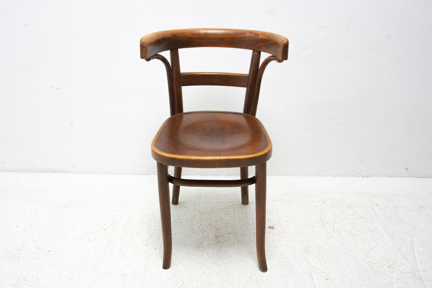 Beech Bentwood Chair by Bernkop, 1930´S For Sale 6