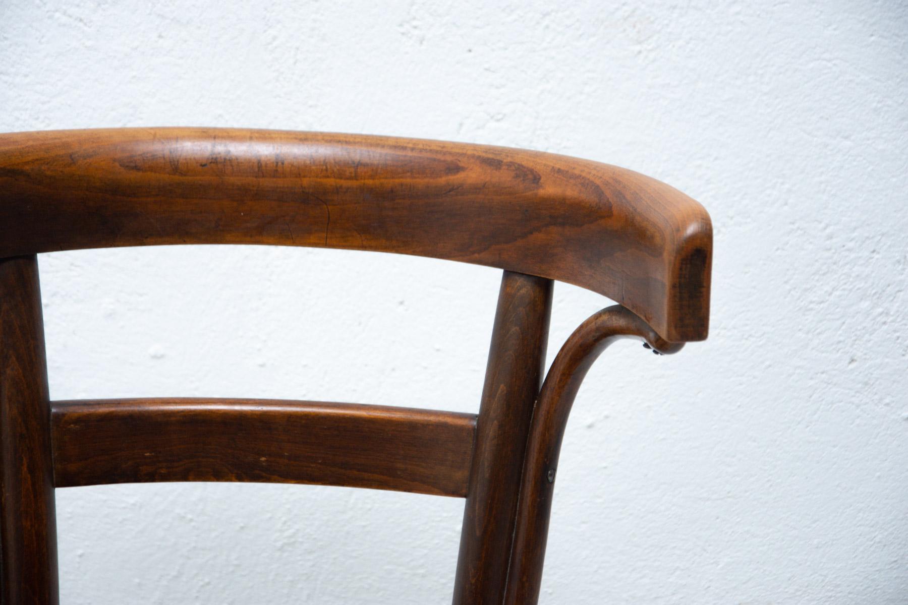 Beech Bentwood Chair by Bernkop, 1930´S For Sale 7