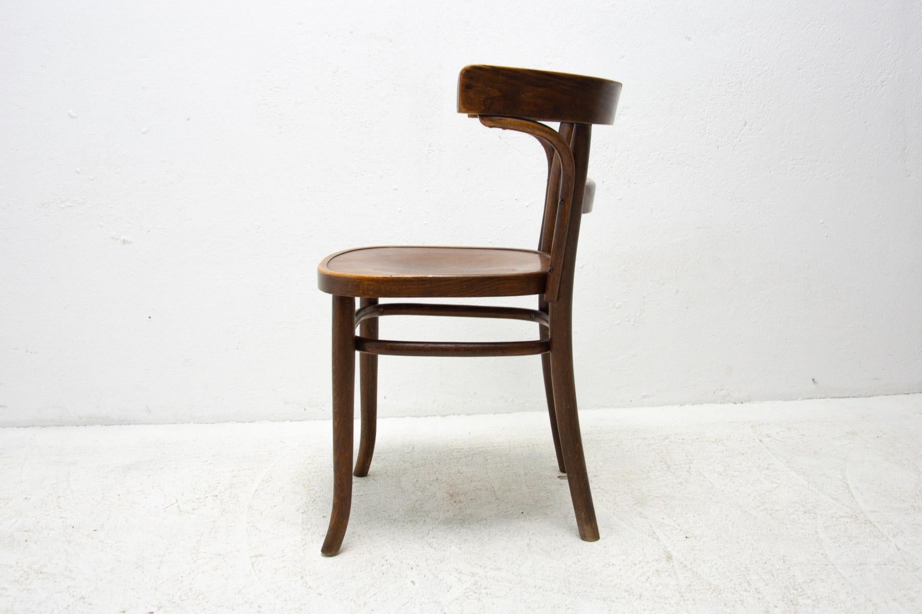 Czech Beech Bentwood Chair by Bernkop, 1930´S For Sale