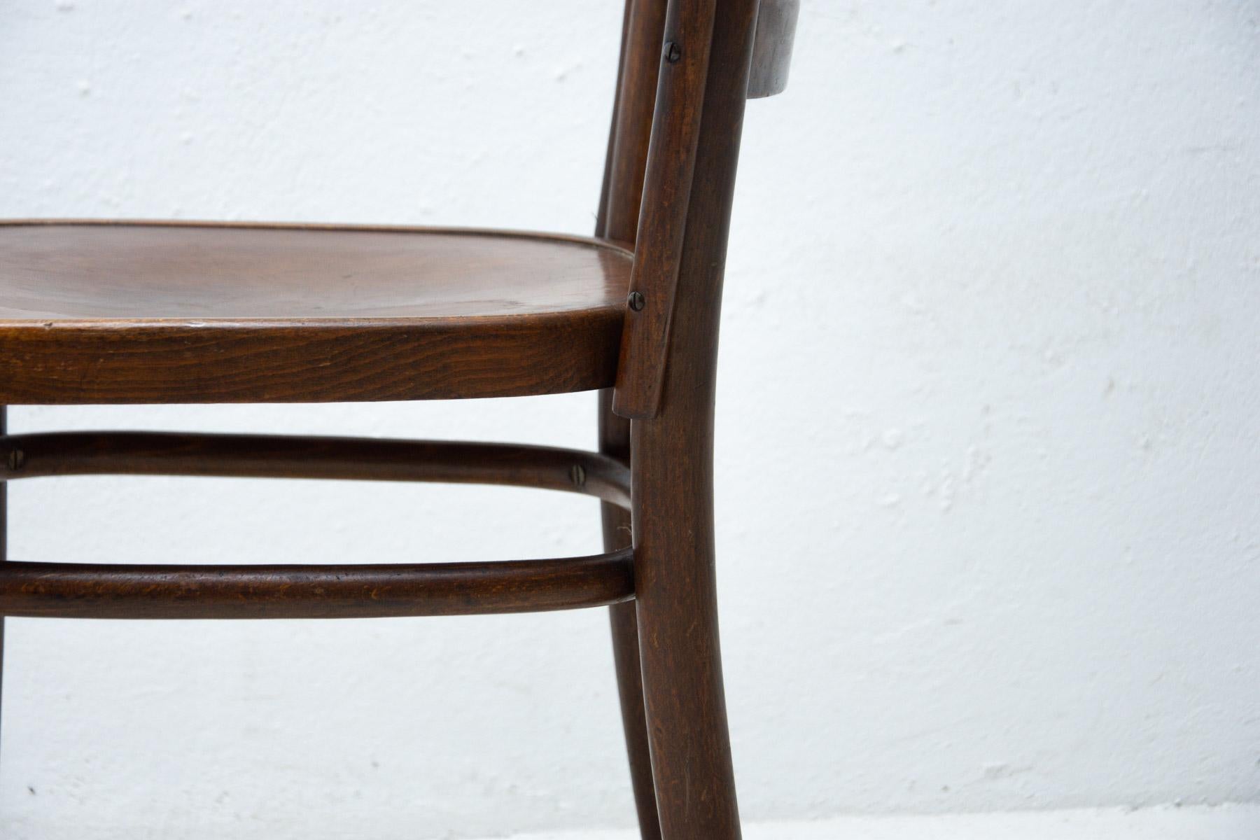 20th Century Beech Bentwood Chair by Bernkop, 1930´S For Sale