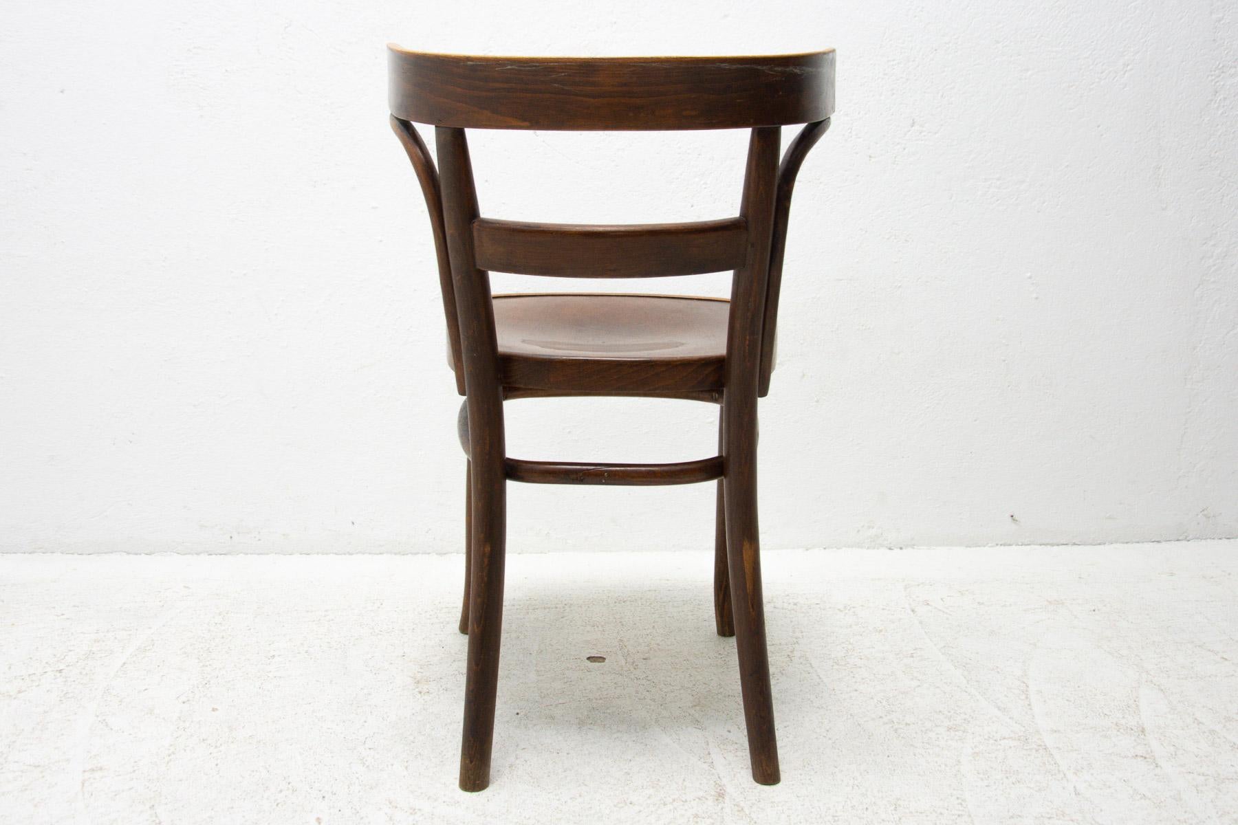 Beech Bentwood Chair by Bernkop, 1930´S For Sale 1